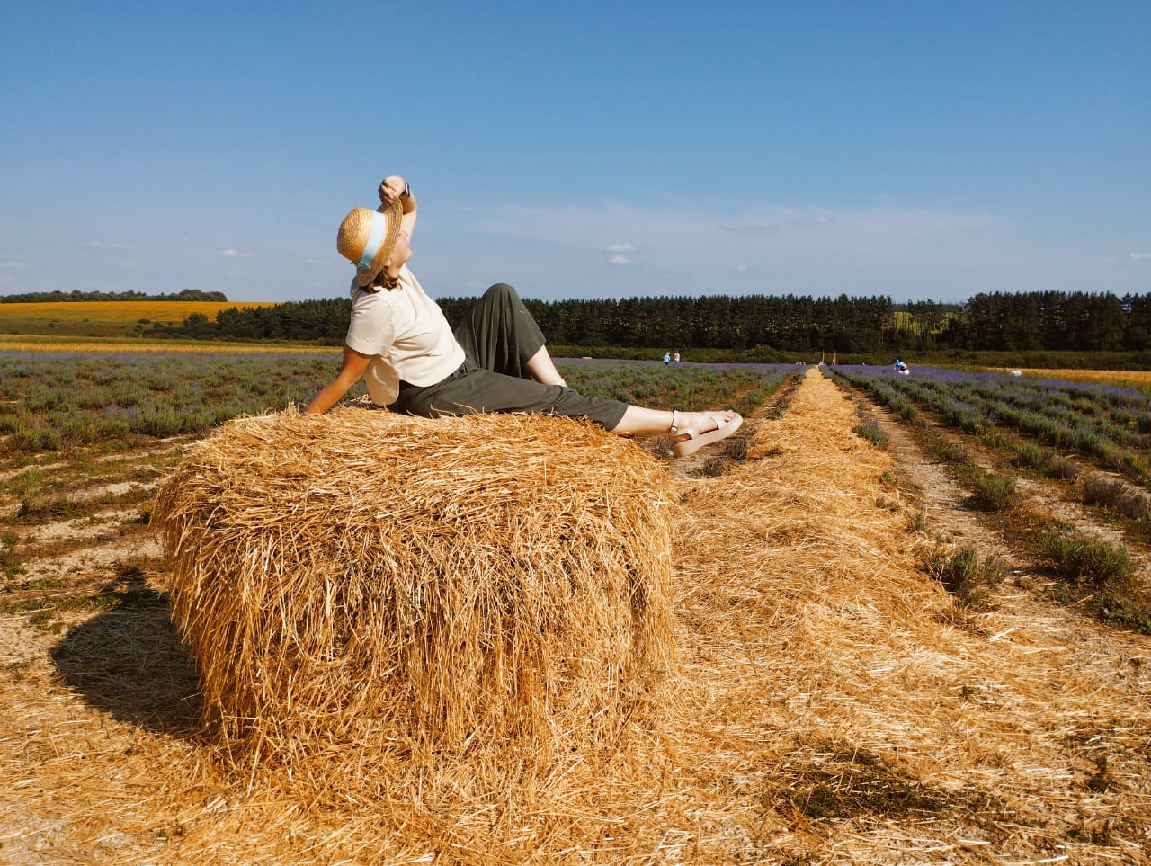 Вкусные истории Липецкого края (3 дня +ж/д) (9/15)