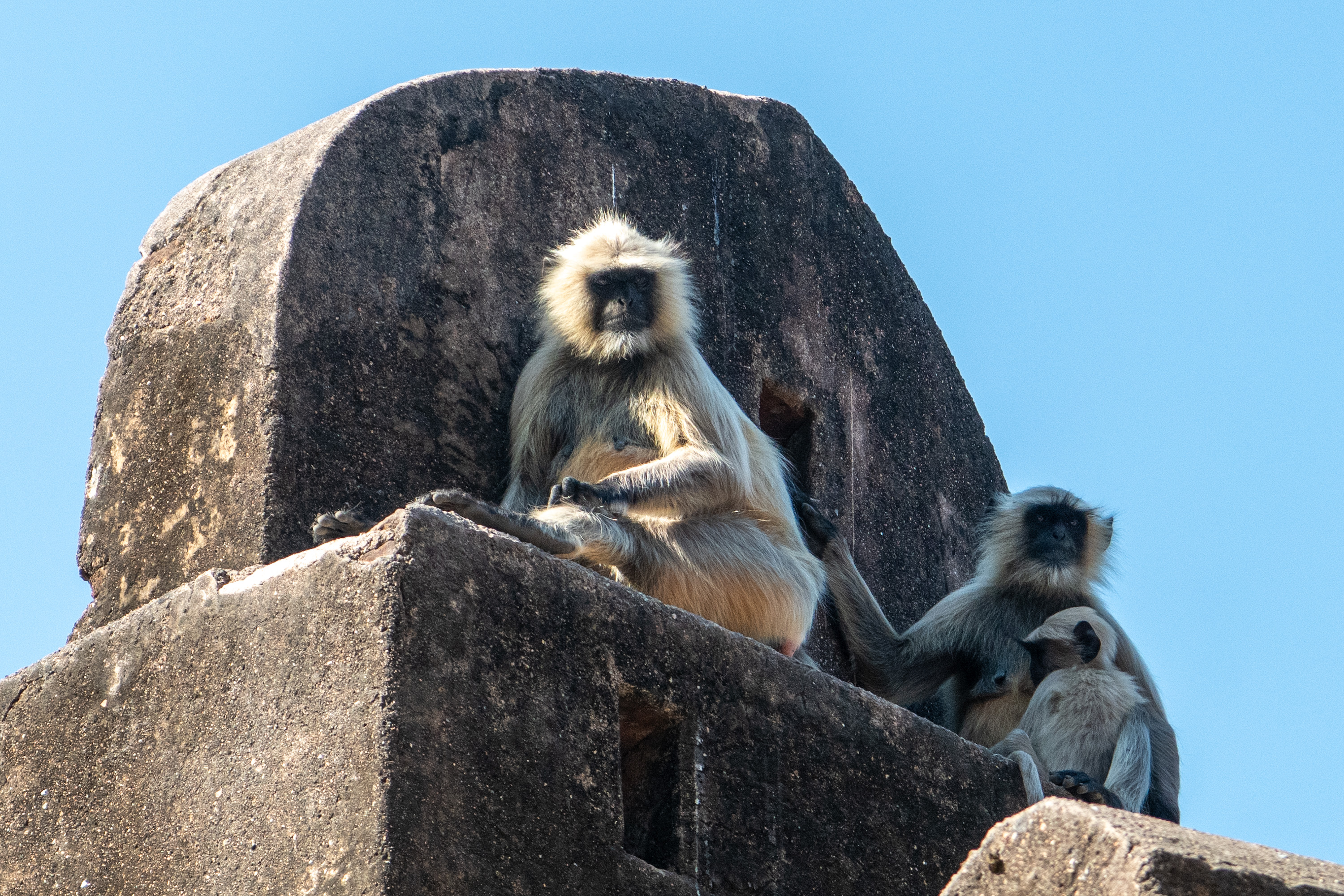 Яркая Индия на фестиваль огней Дивали (13/48)