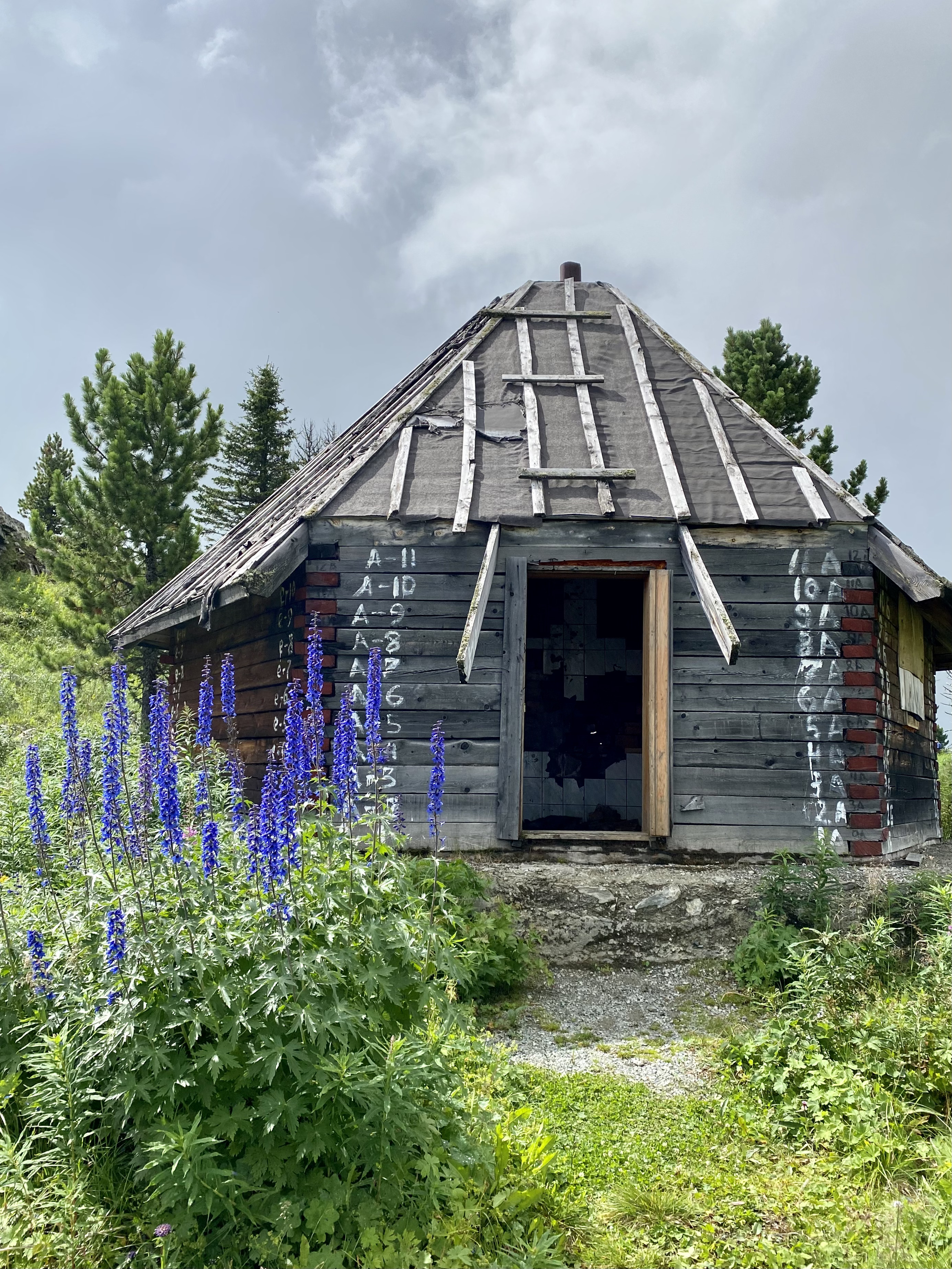 Женский тур на Алтай со специалистом по восстановлению тела и духа (10/13)