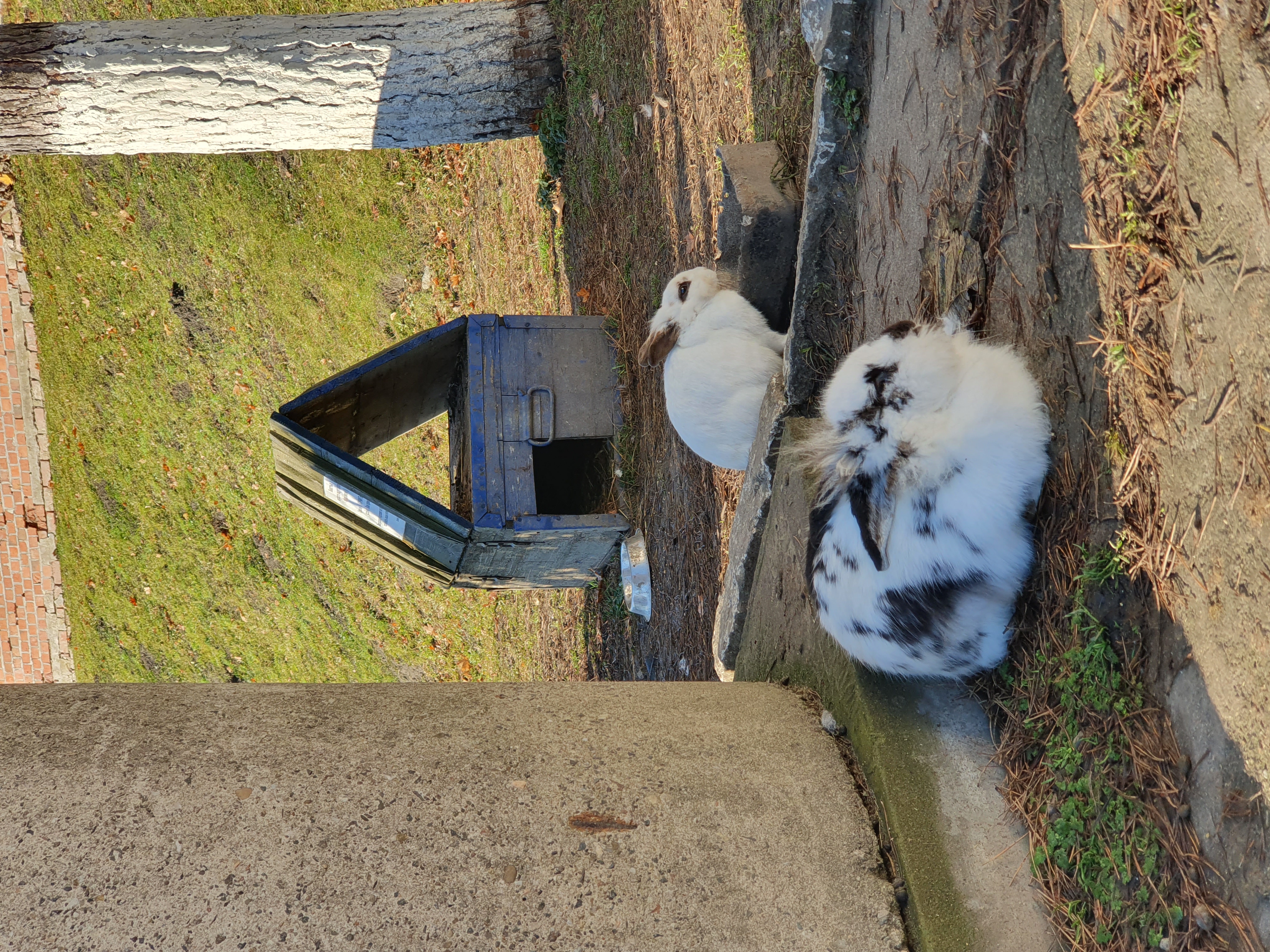 Калининград от местного. С душой и для души! (37/37)
