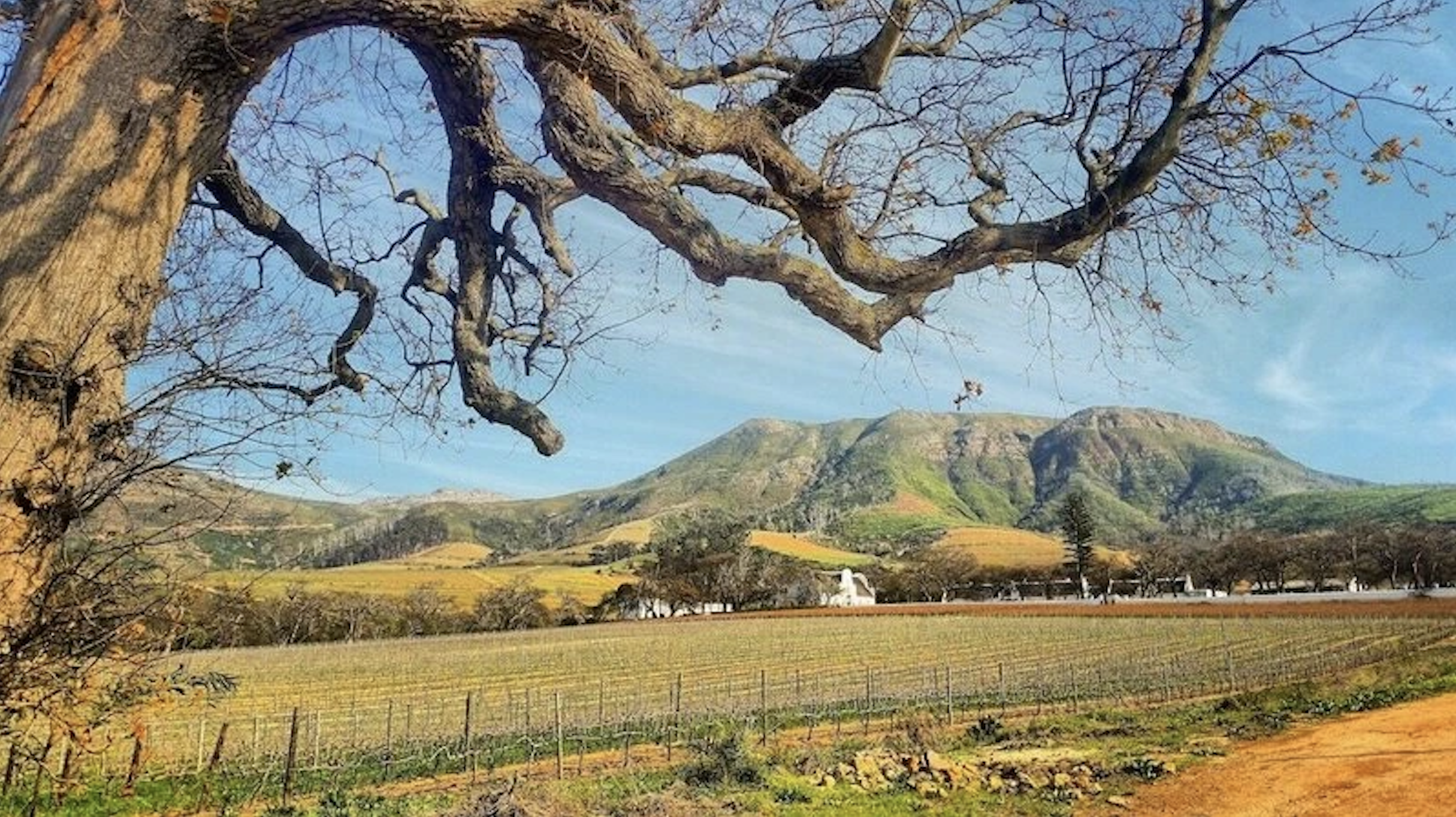 Юар в лицах и историях (2/18)