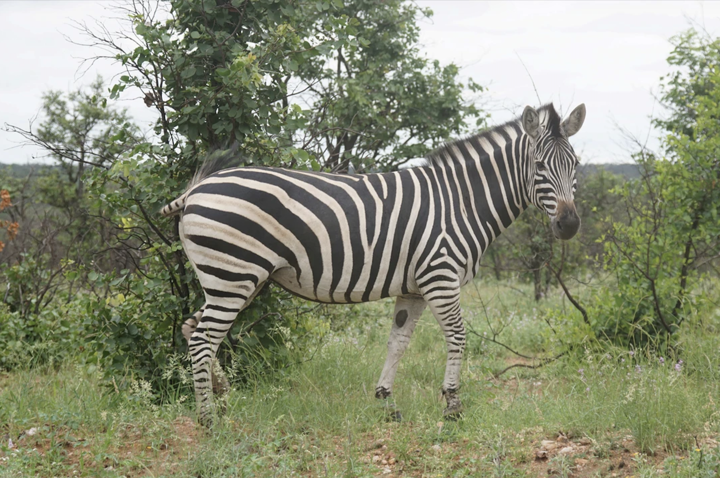 Юар в лицах и историях (17/18)