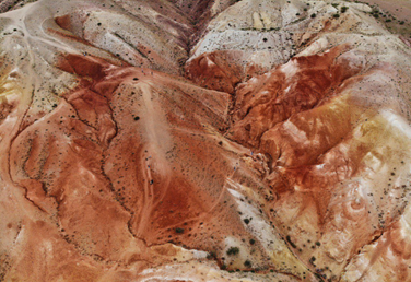 Цветущая Монголия. Озера и Барханы (42/47)