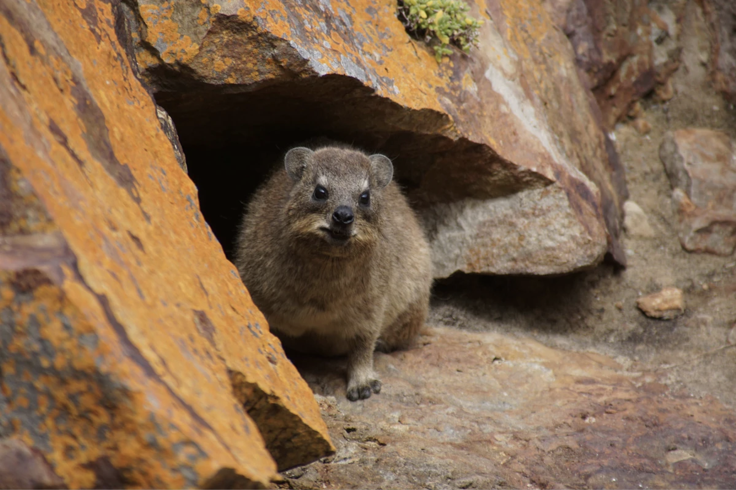 Юар в лицах и историях (13/18)