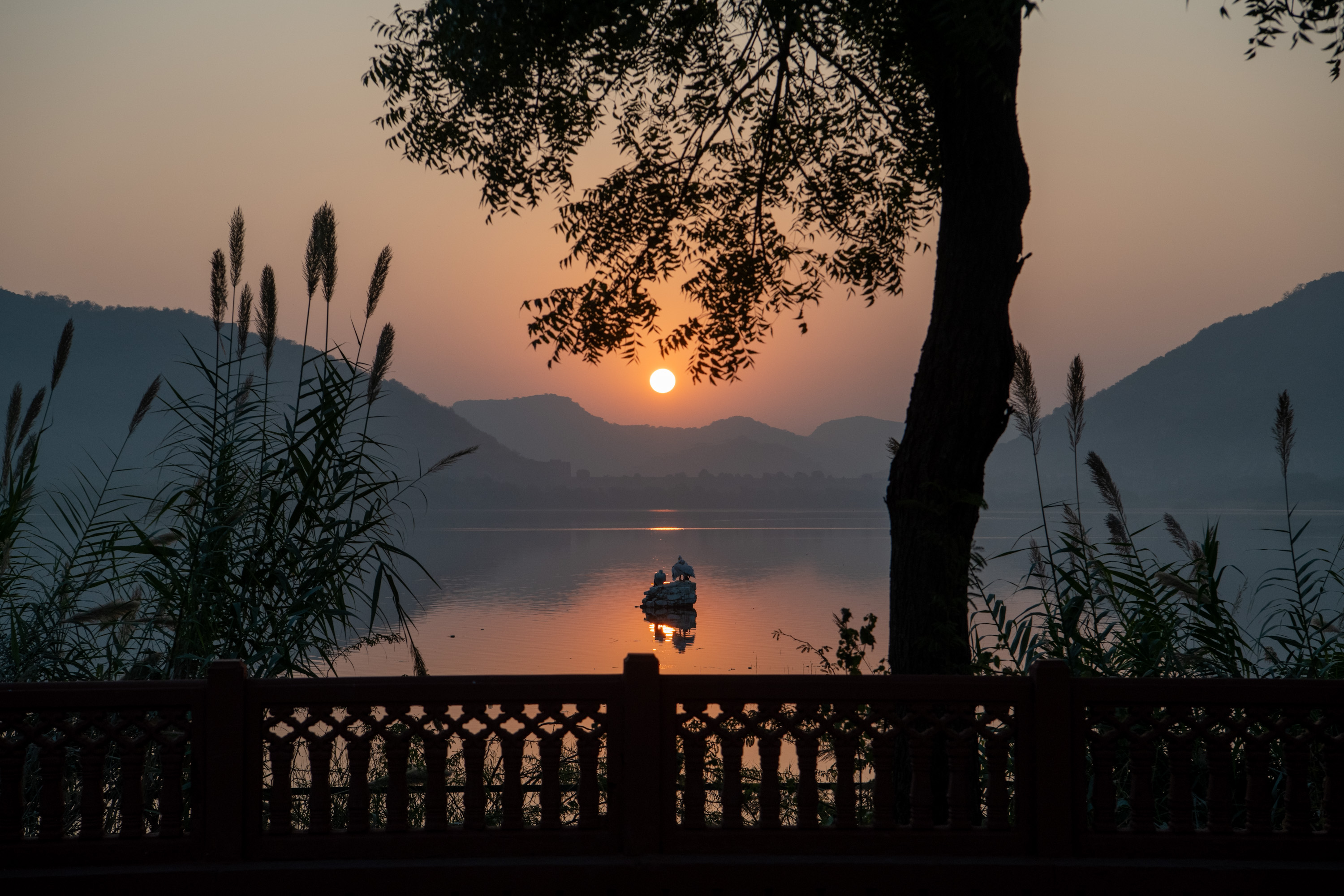 Яркая Индия на фестиваль огней Дивали (24/48)