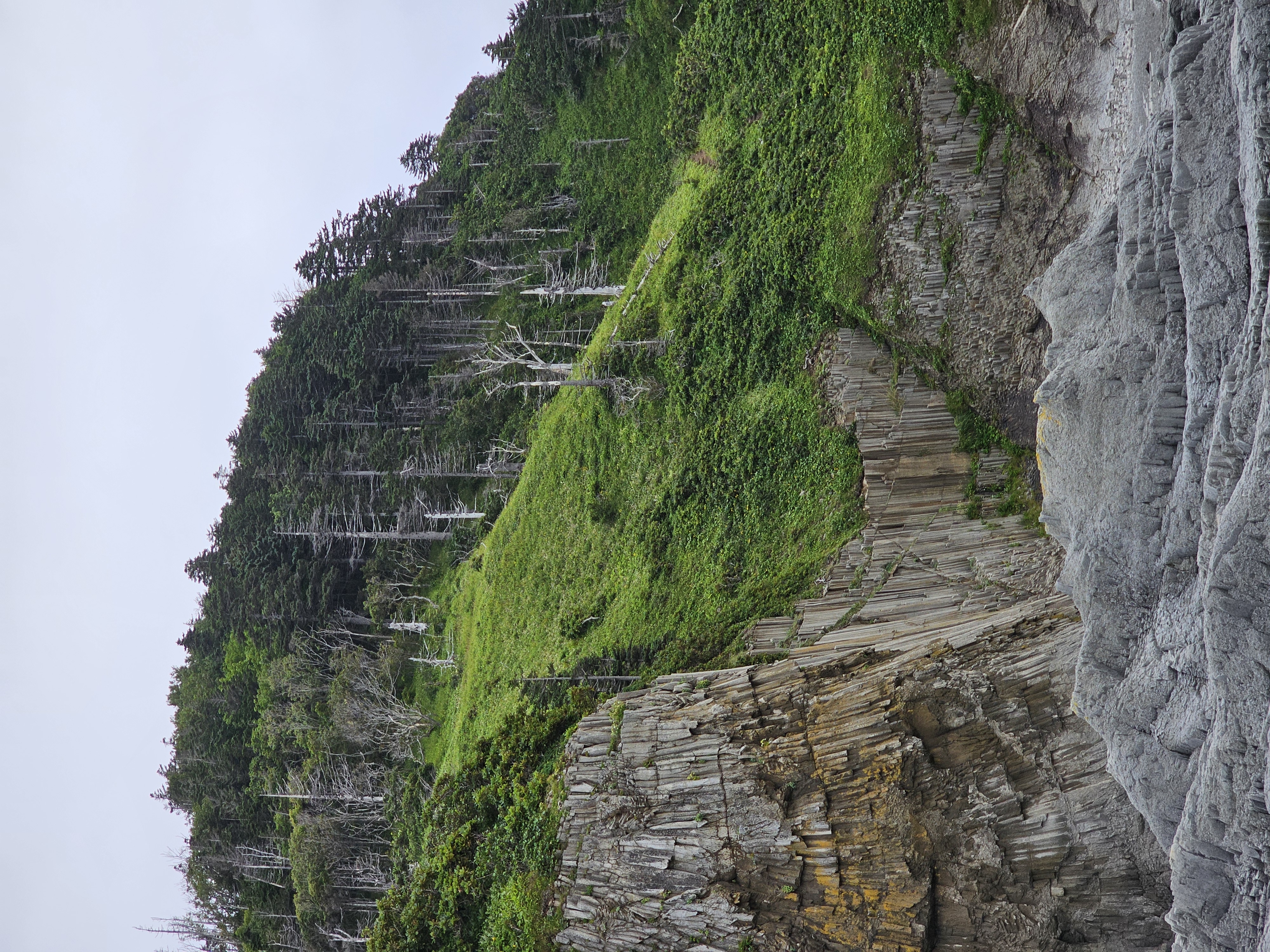 Сахалин и Курильские острова без рюкзаков: Шикотан и Кунашир (14/39)