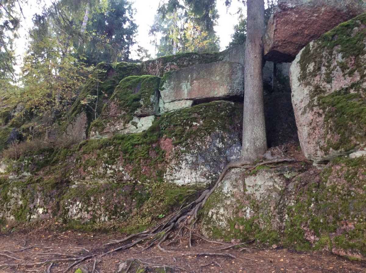 Средневековый карнавал Майское дерево в Выборге (14/15)