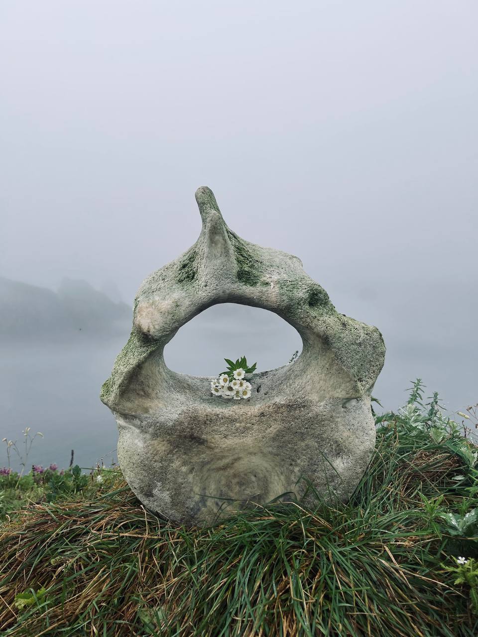 Сахалин и Курильские острова без рюкзаков: Шикотан и Кунашир (22/39)