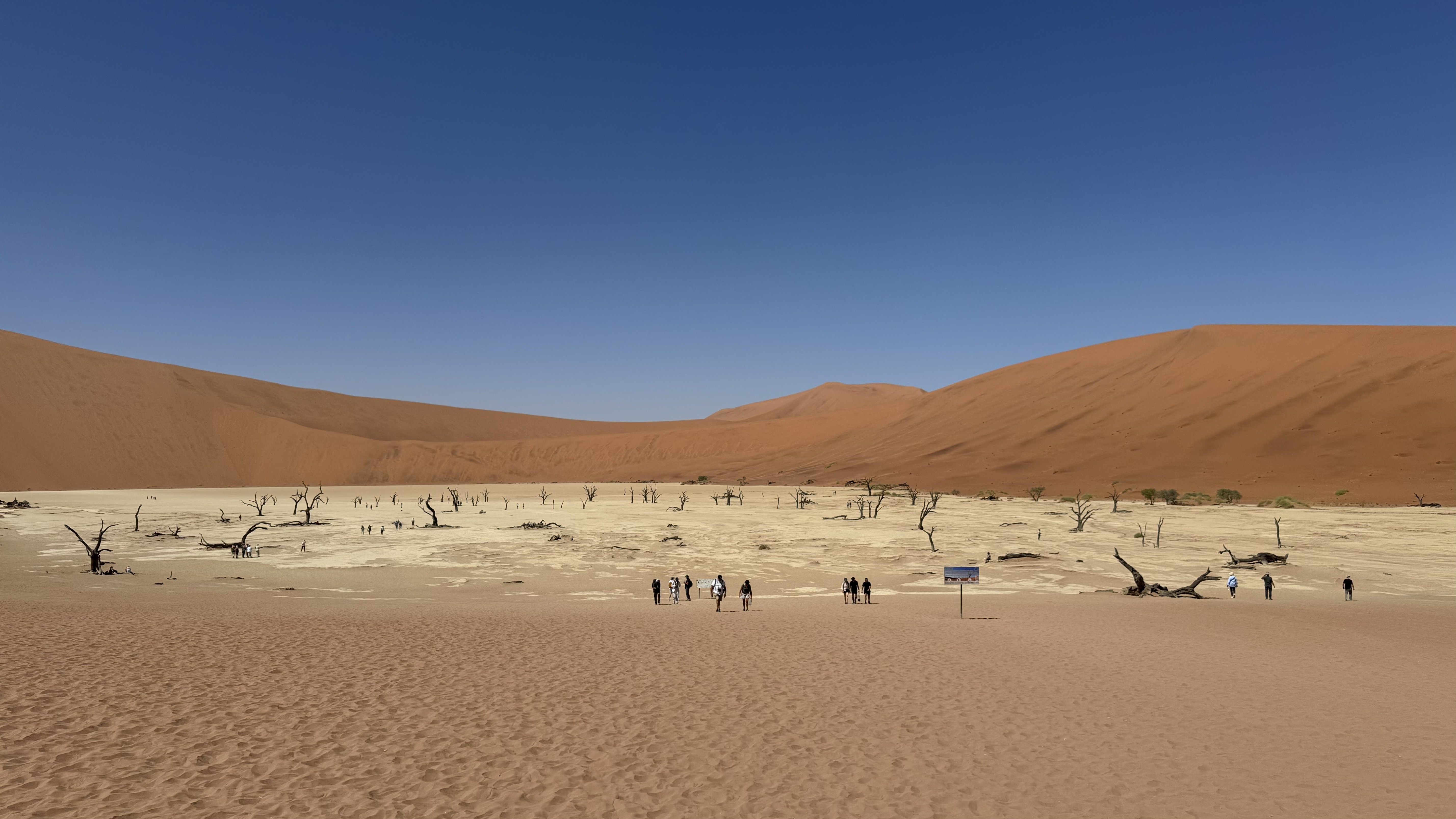 Западный Кейп - Намибия (18/23)