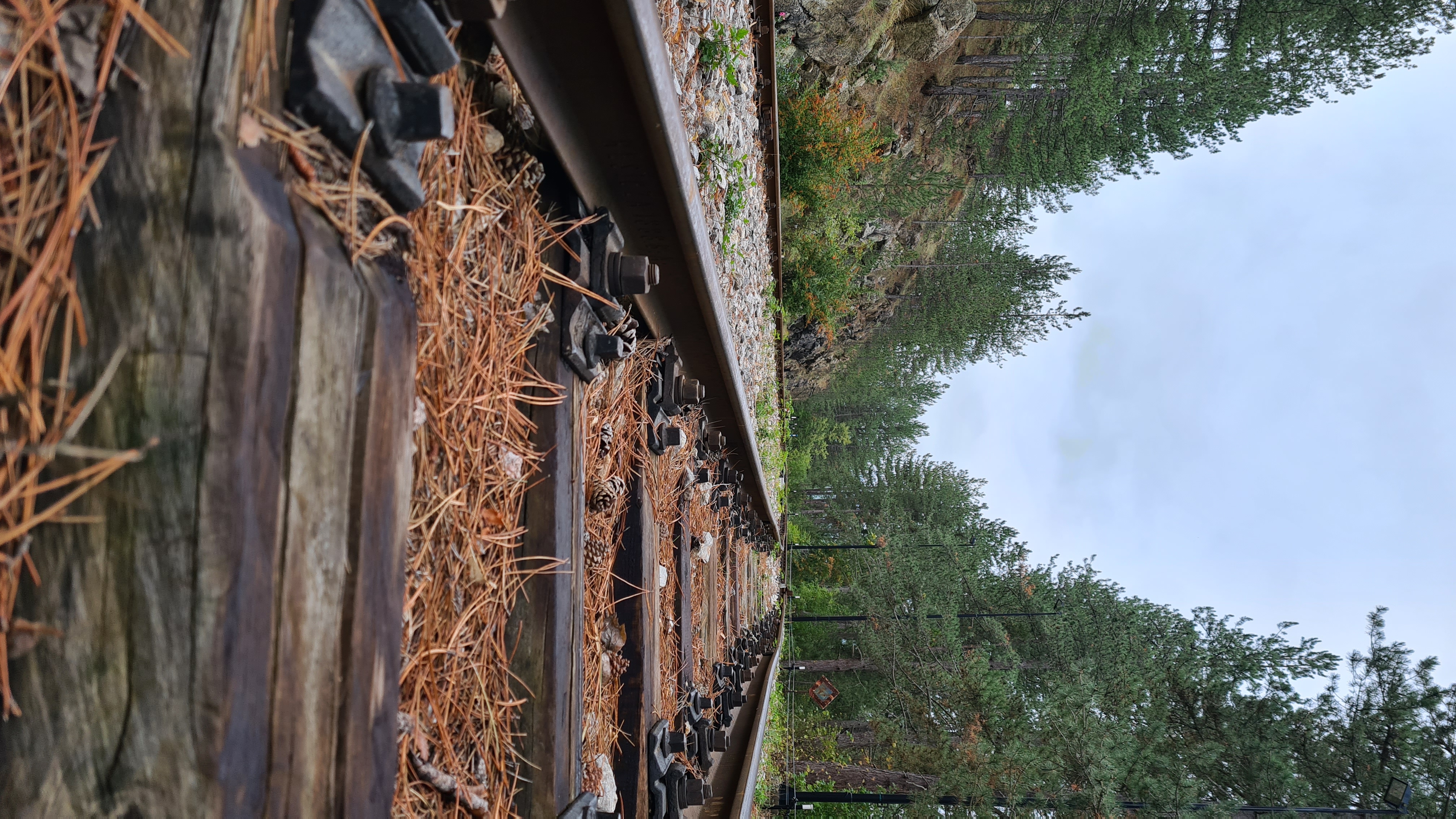 Балканы в сердце: Сербия и Черногория (22/22)