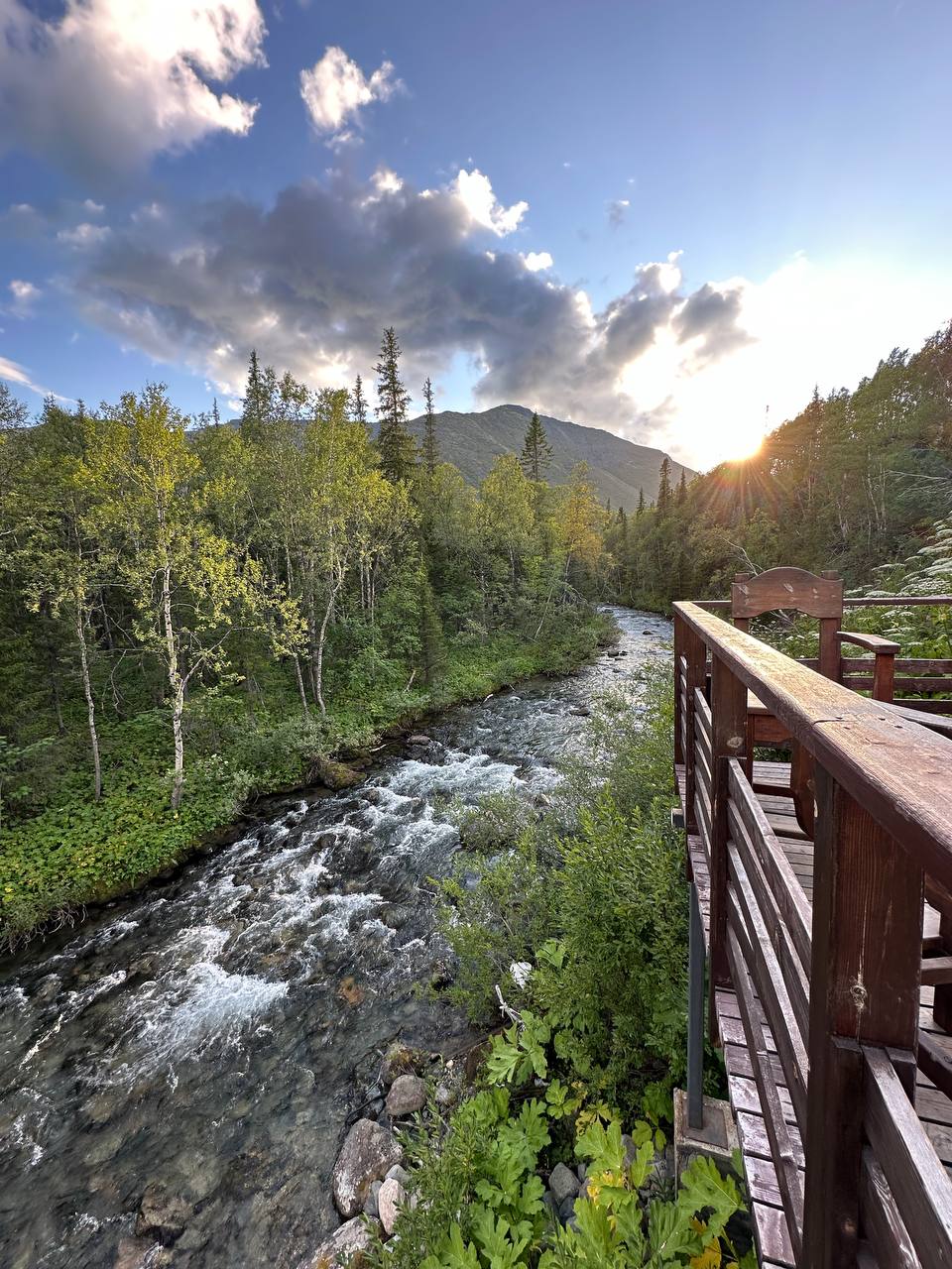 Джиппинг в горы и фотоохота на китов (18/22)