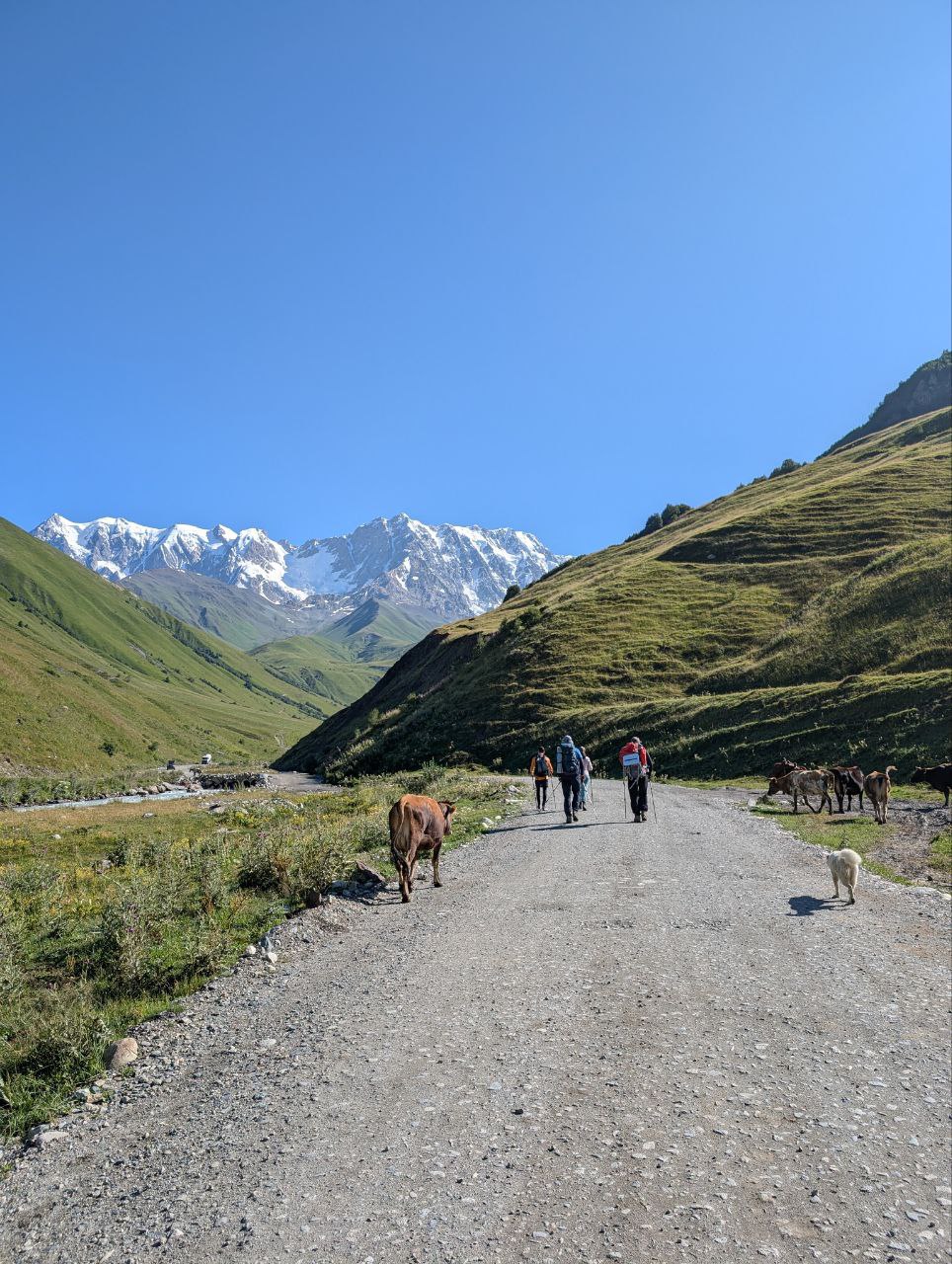 Многоликая Грузия. Большое автопутешествие (89/95)