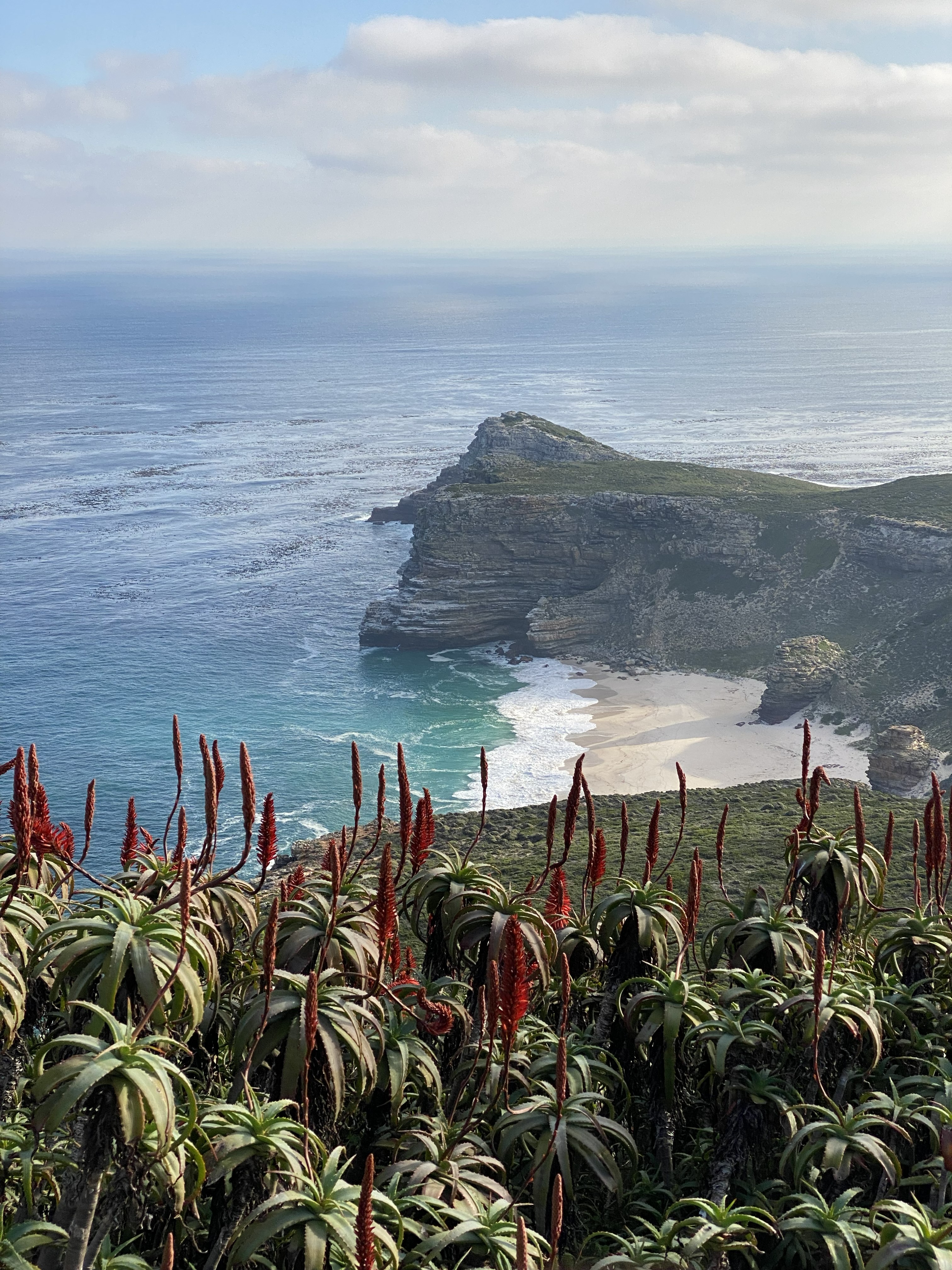 Западный Кейп - Намибия (8/23)