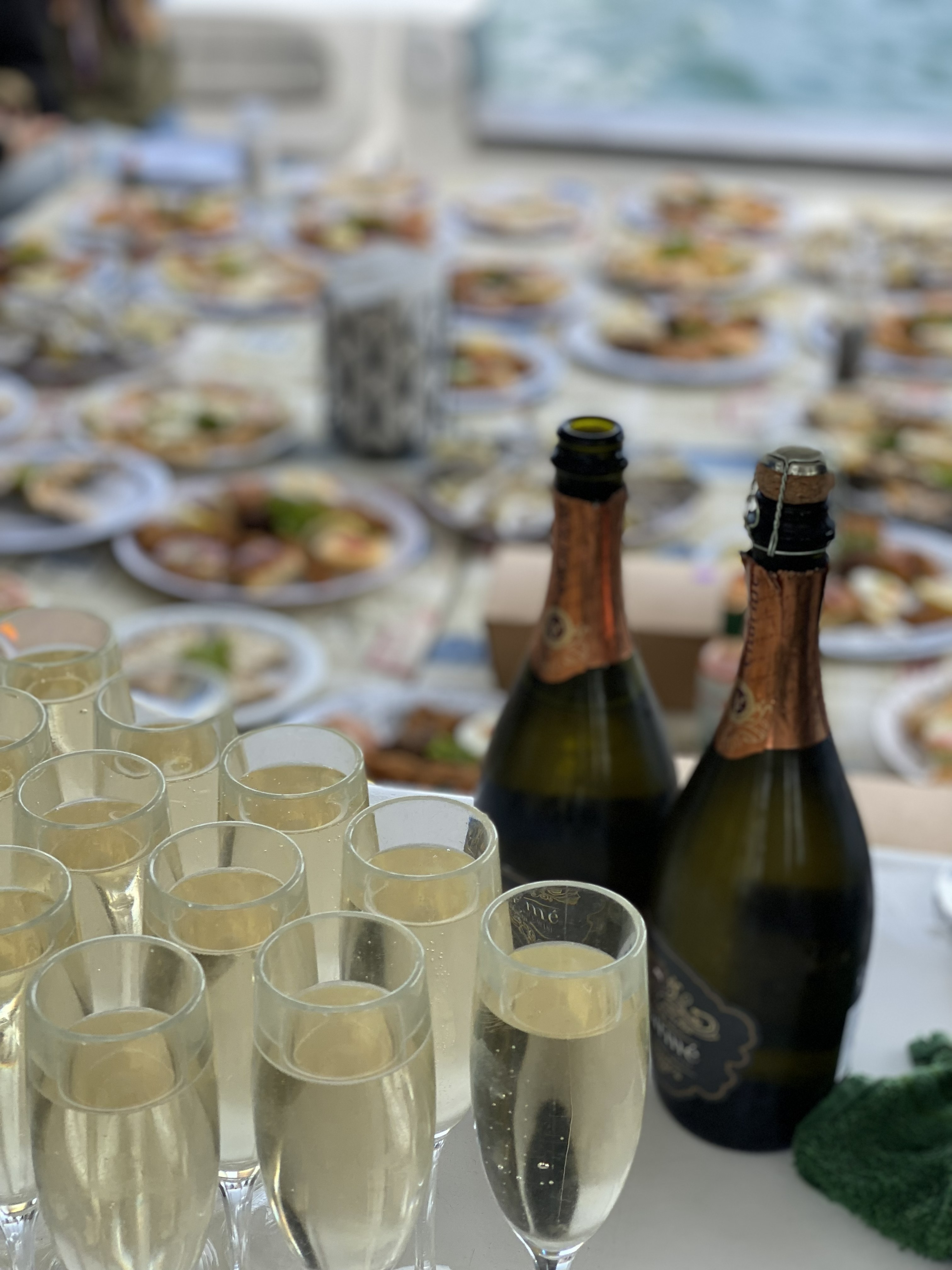 Западный Кейп - Намибия (14/23)