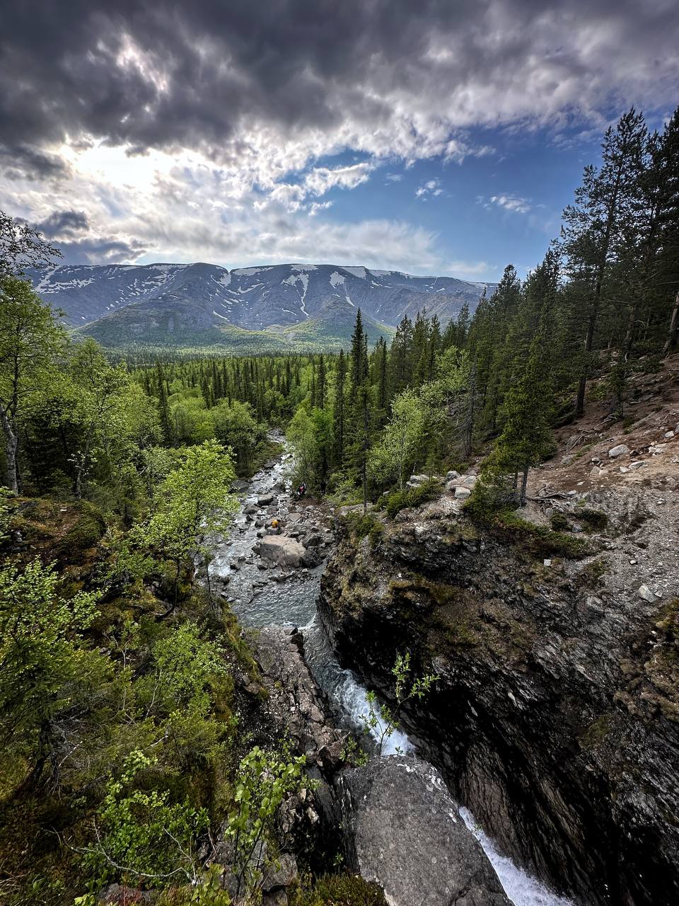 Джиппинг в горы и фотоохота на китов (17/22)
