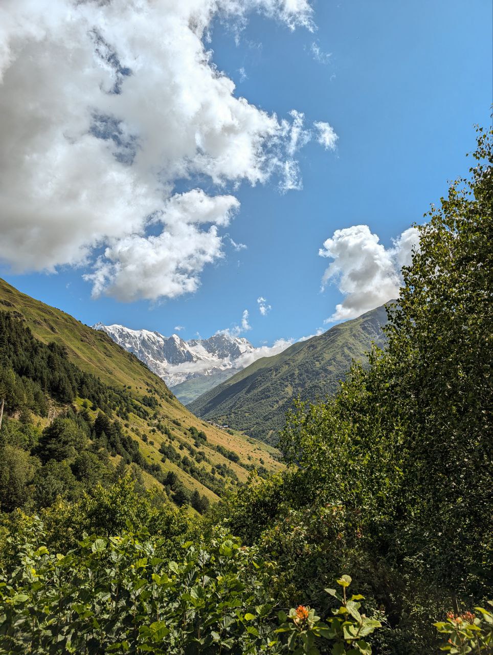 Многоликая Грузия. Большое автопутешествие (2/95)