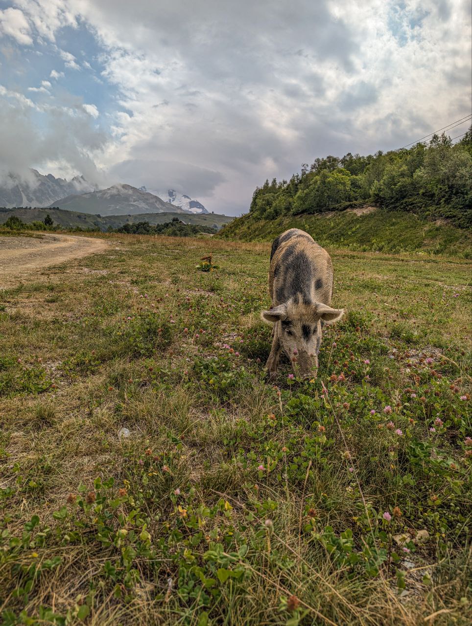 Многоликая Грузия. Большое автопутешествие (92/95)