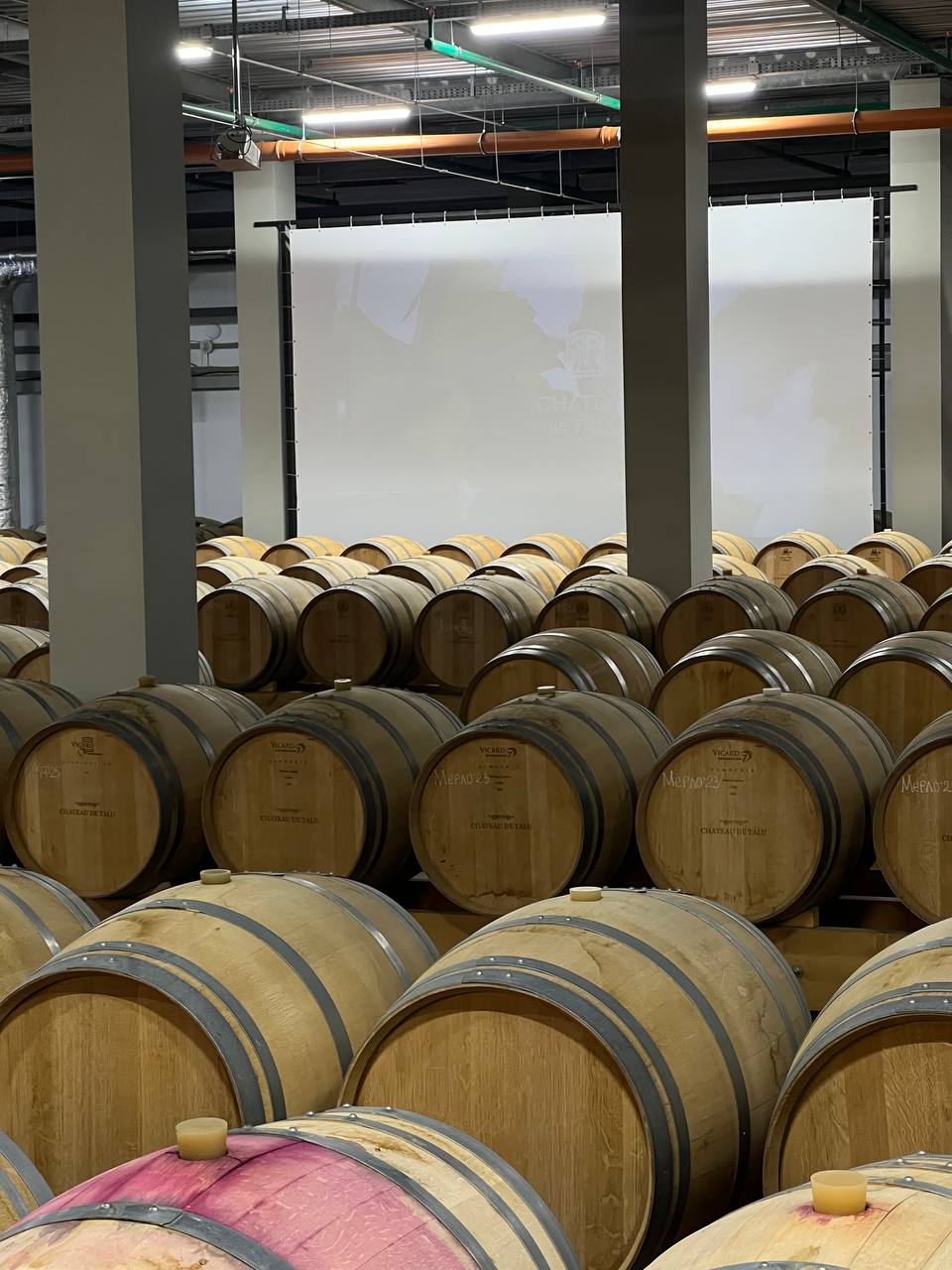 Тур Шато де Талю + набережная (5/12)