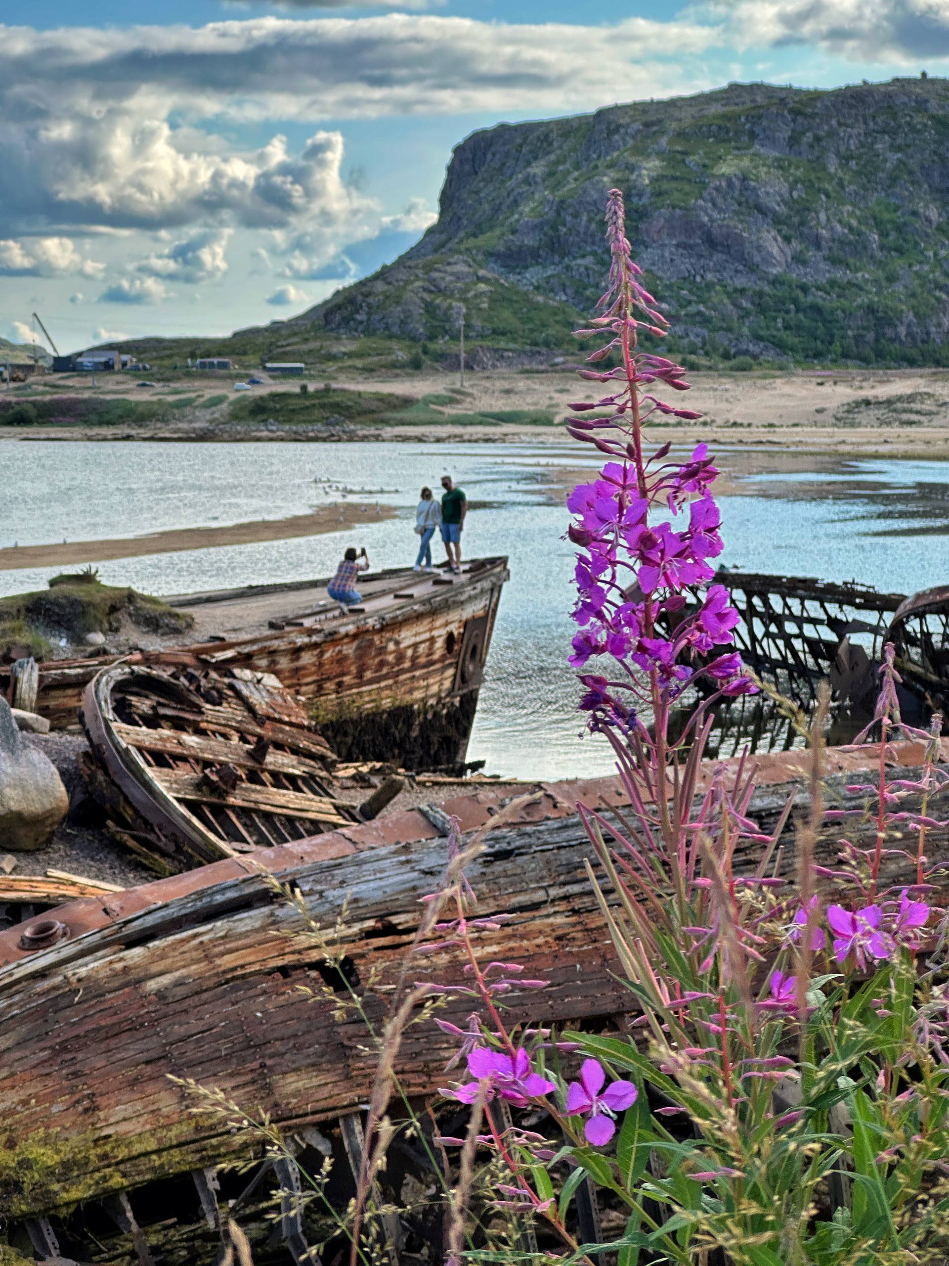 Джиппинг в горы и фотоохота на китов (4/22)