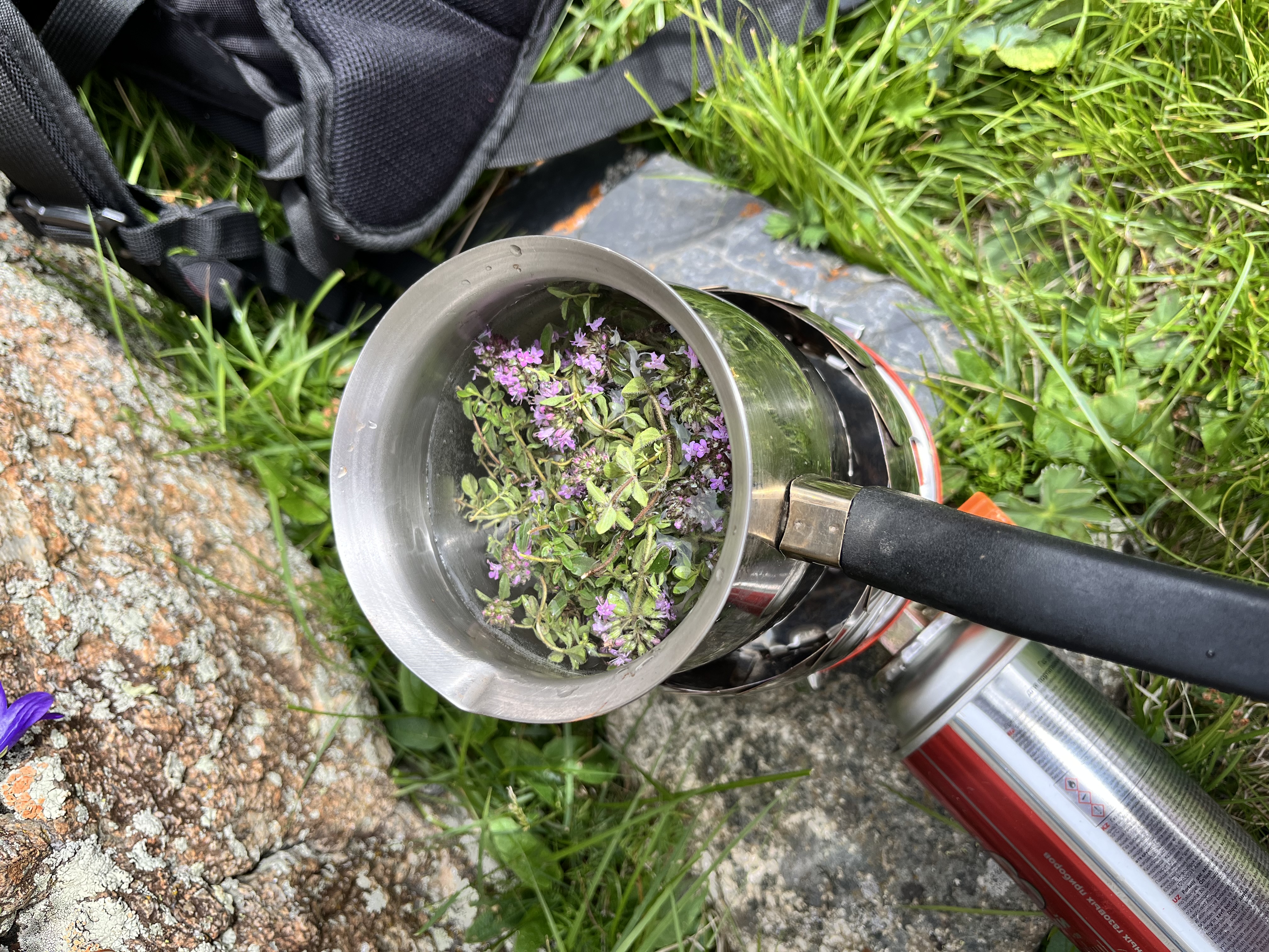 Осетия: Пробуждение гор (5/34)