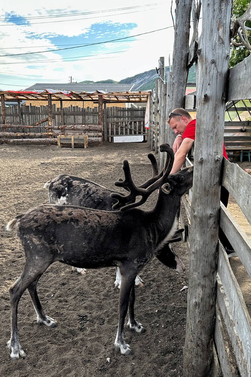 Джиппинг в горы и фотоохота на китов (20/22)