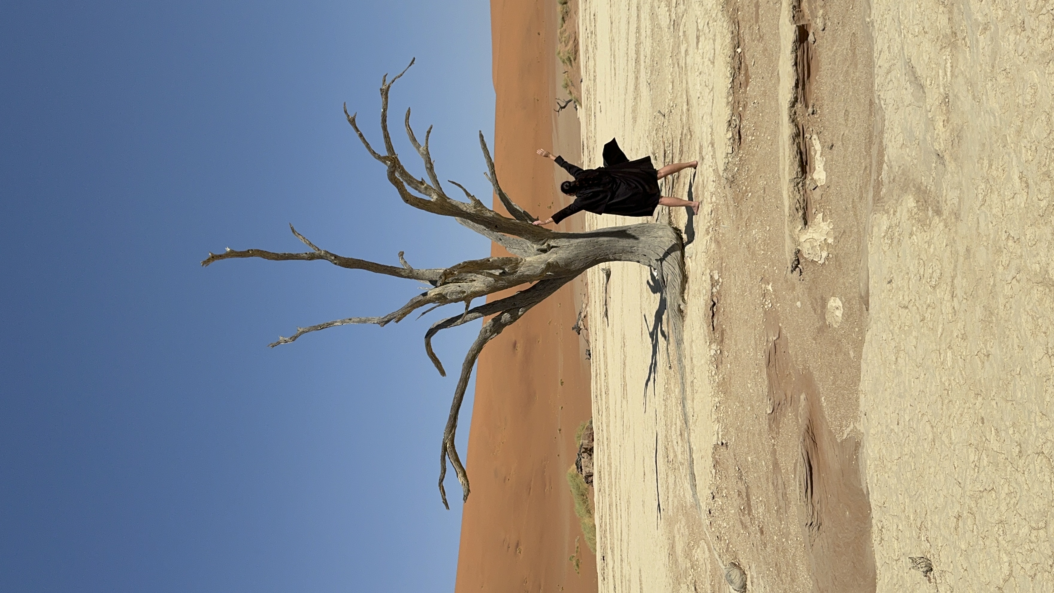 Западный Кейп - Намибия (2/23)