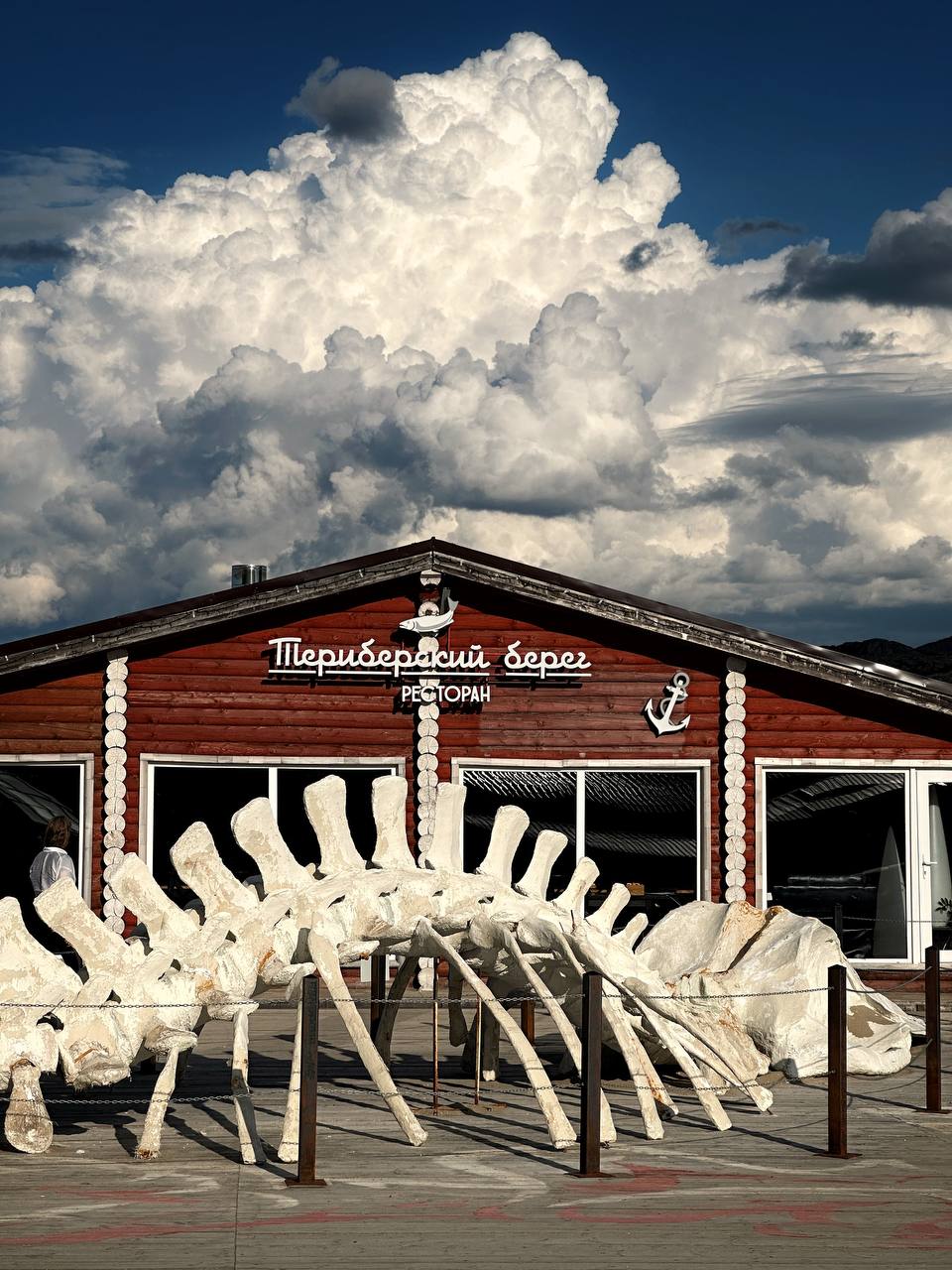 Джиппинг в горы и фотоохота на китов (14/22)