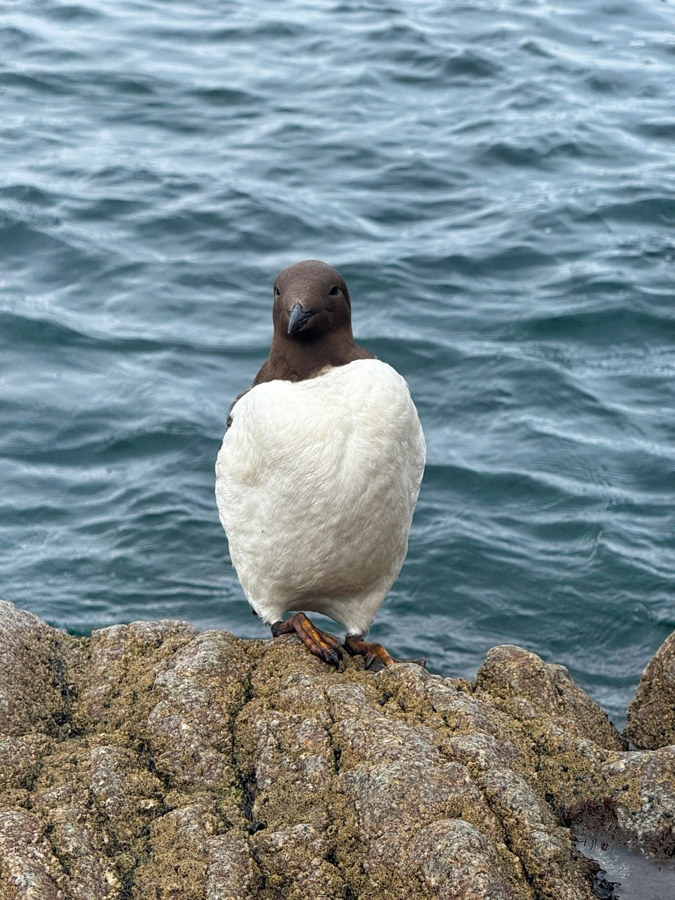 Осенний Сахалин (10/18)
