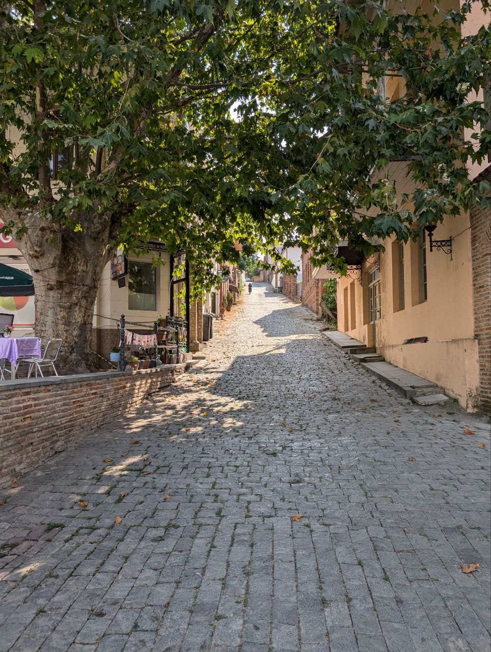 Многоликая Грузия. Большое автопутешествие (46/95)