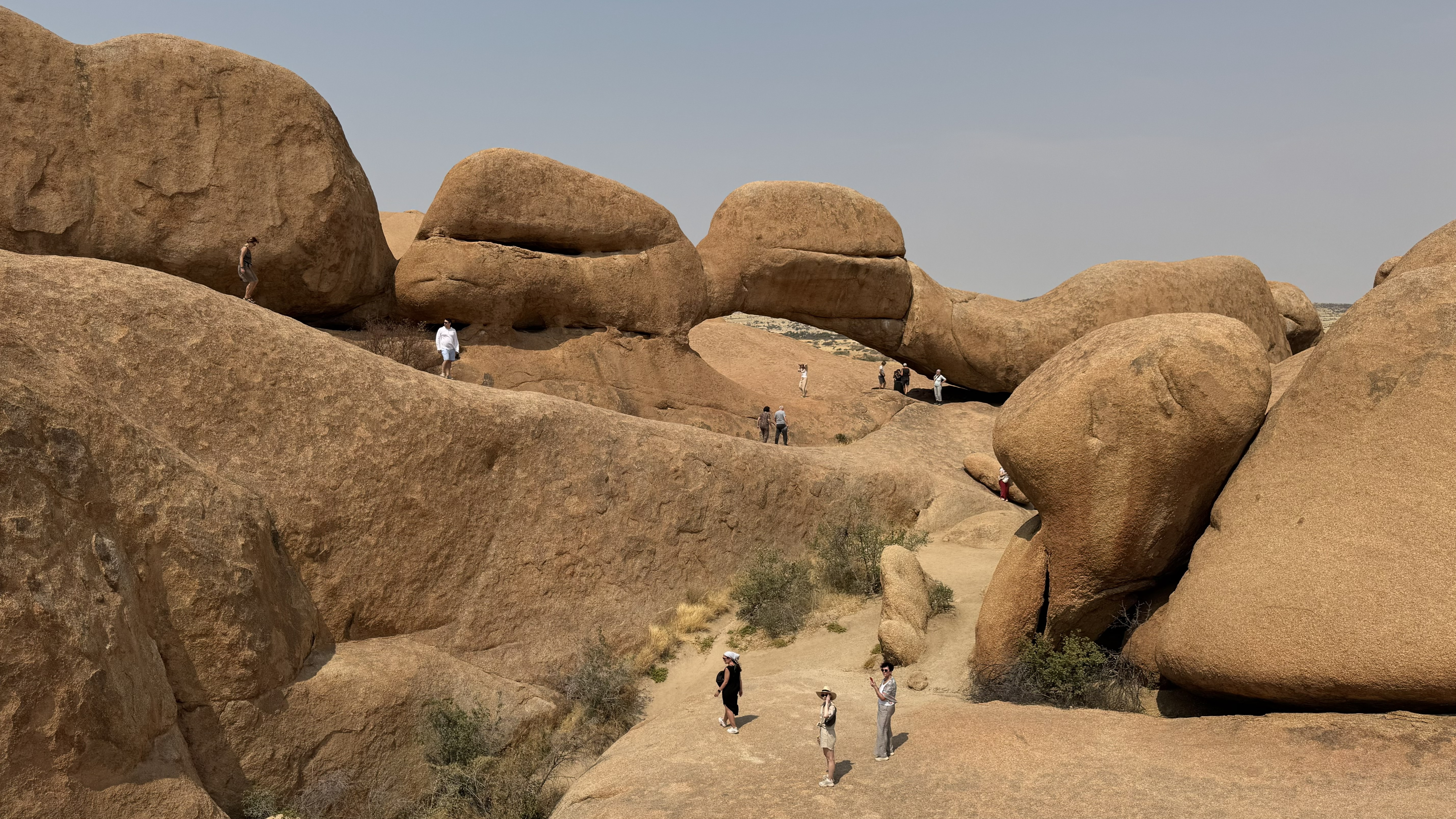 Западный Кейп - Намибия (13/23)