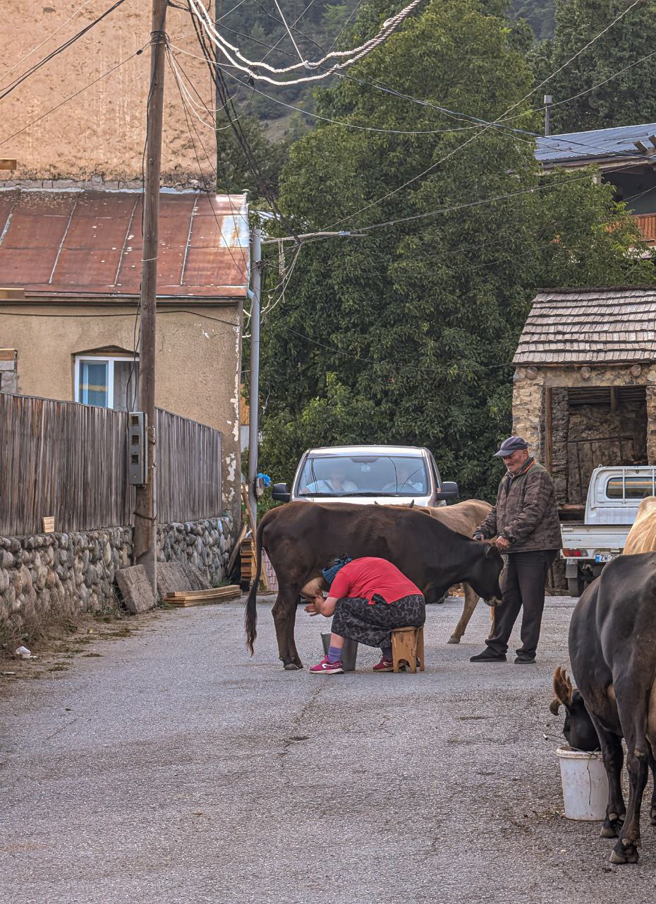 Многоликая Грузия. Большое автопутешествие (86/95)