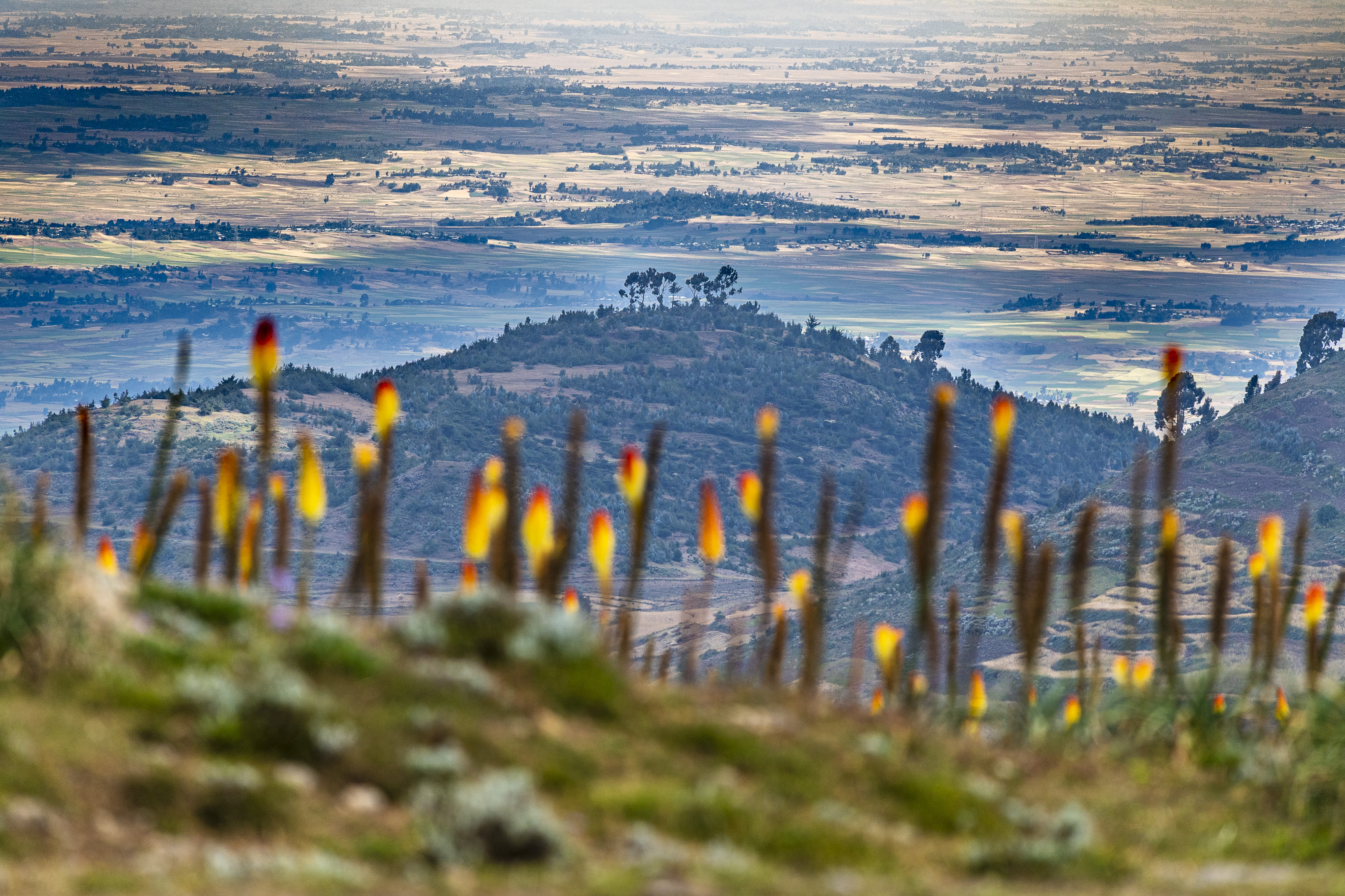 Addis Ababa  City Tours (9/9)