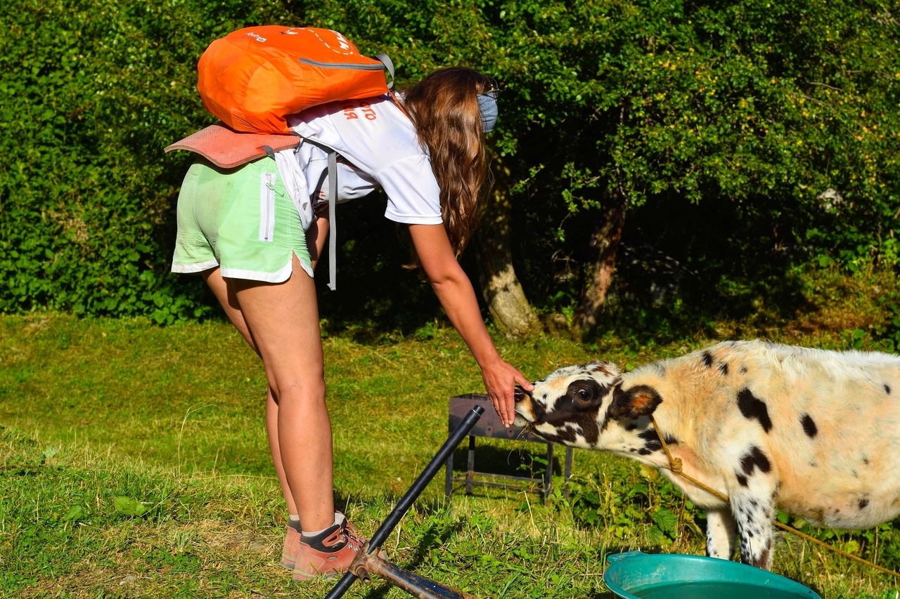 Грузия. Путешествие через всю Сванетию (15/36)