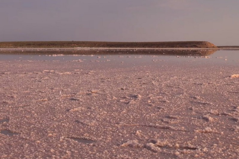 Весенняя магия Калмыкии с выездом на тюльпановые поля (9/16)