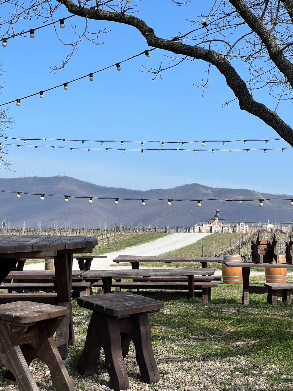 Тур Шато де Талю + набережная (4/12)