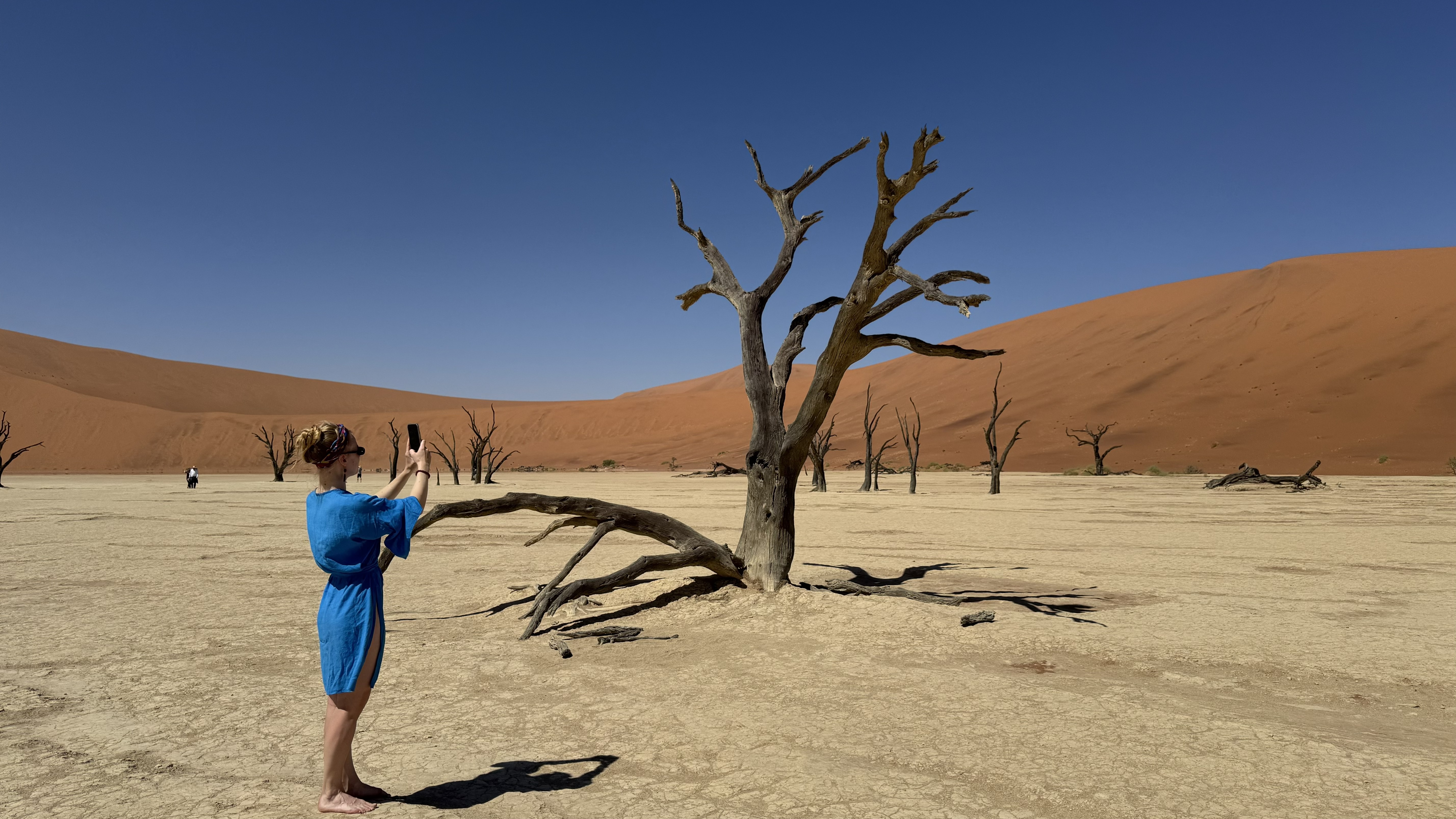 Западный Кейп - Намибия (19/23)