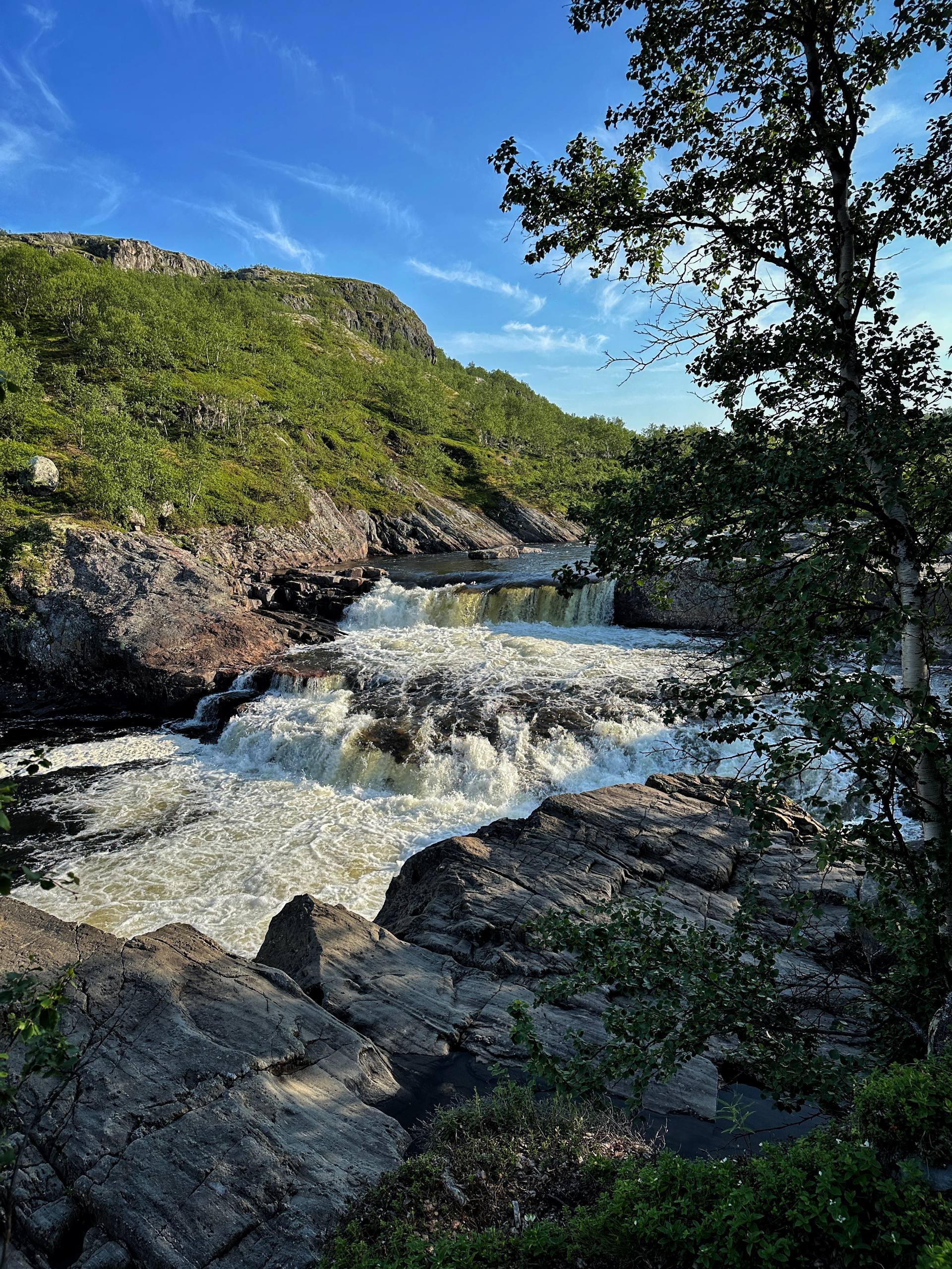 Джиппинг в горы и фотоохота на китов (9/22)