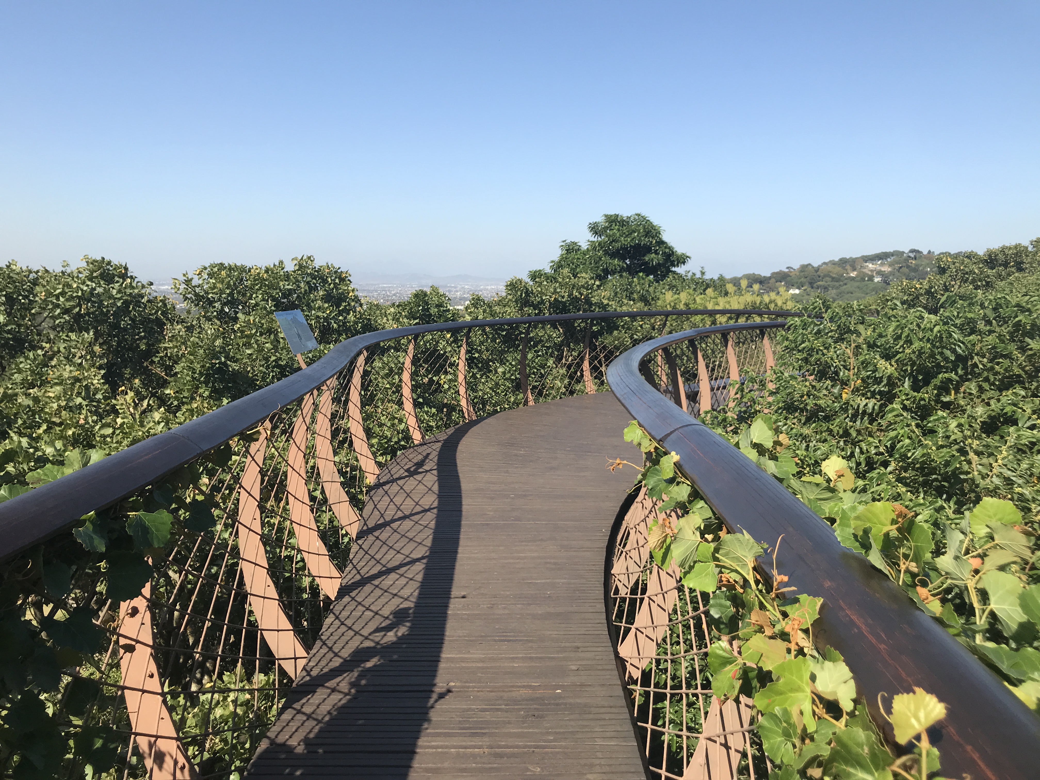 Западный Кейп - Намибия (4/23)