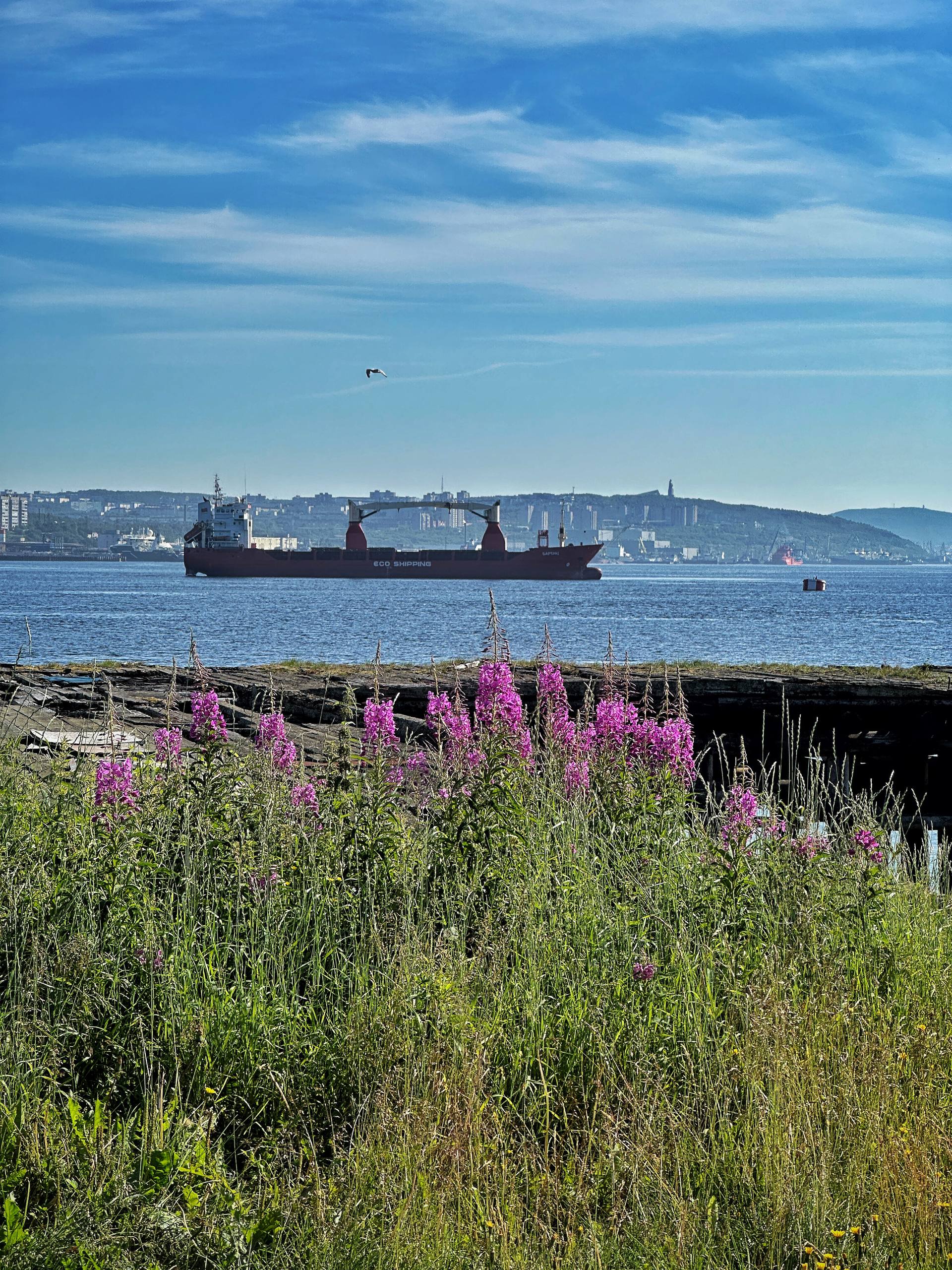 Джиппинг в горы и фотоохота на китов (13/22)