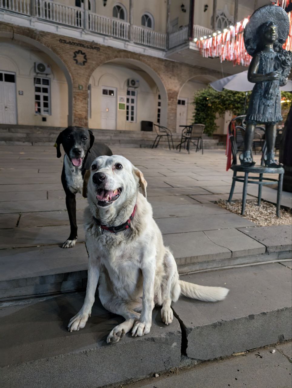 Многоликая Грузия. Большое автопутешествие (44/95)