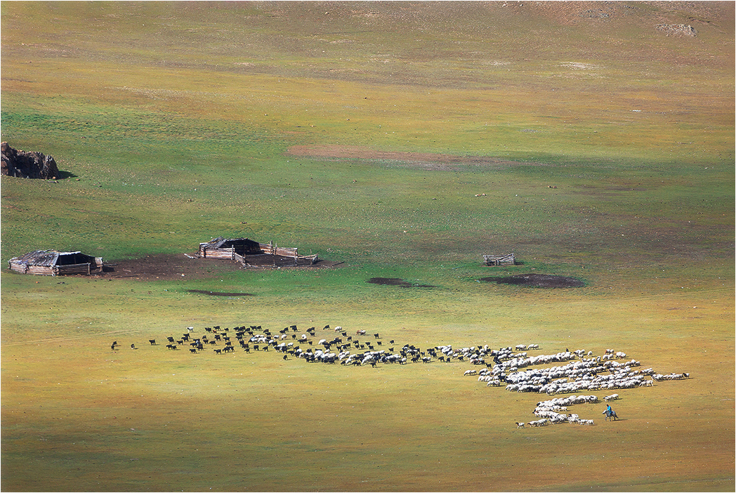 Монголия. Джип-экспедиция (14/23)