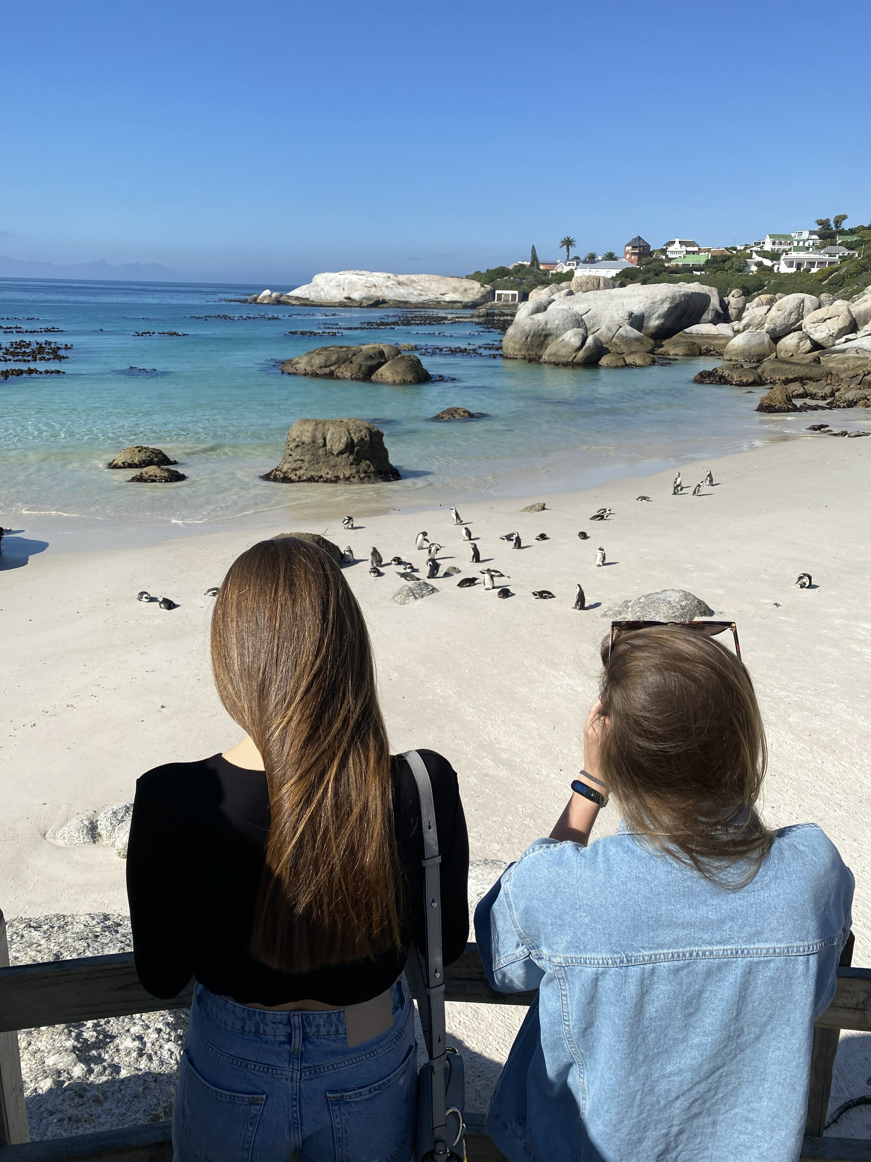 Западный Кейп - Намибия (7/23)