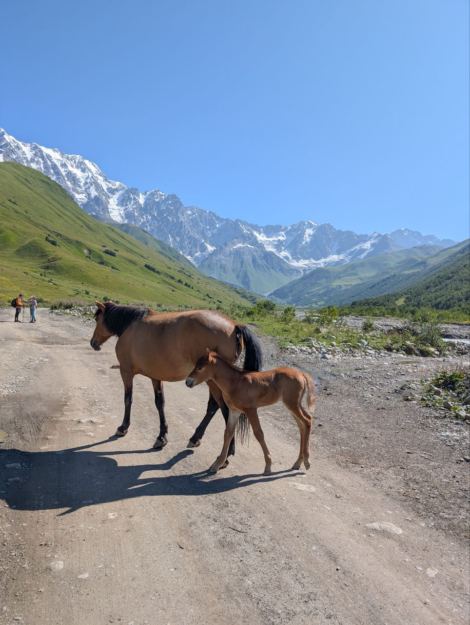Многоликая Грузия. Большое автопутешествие (22/95)