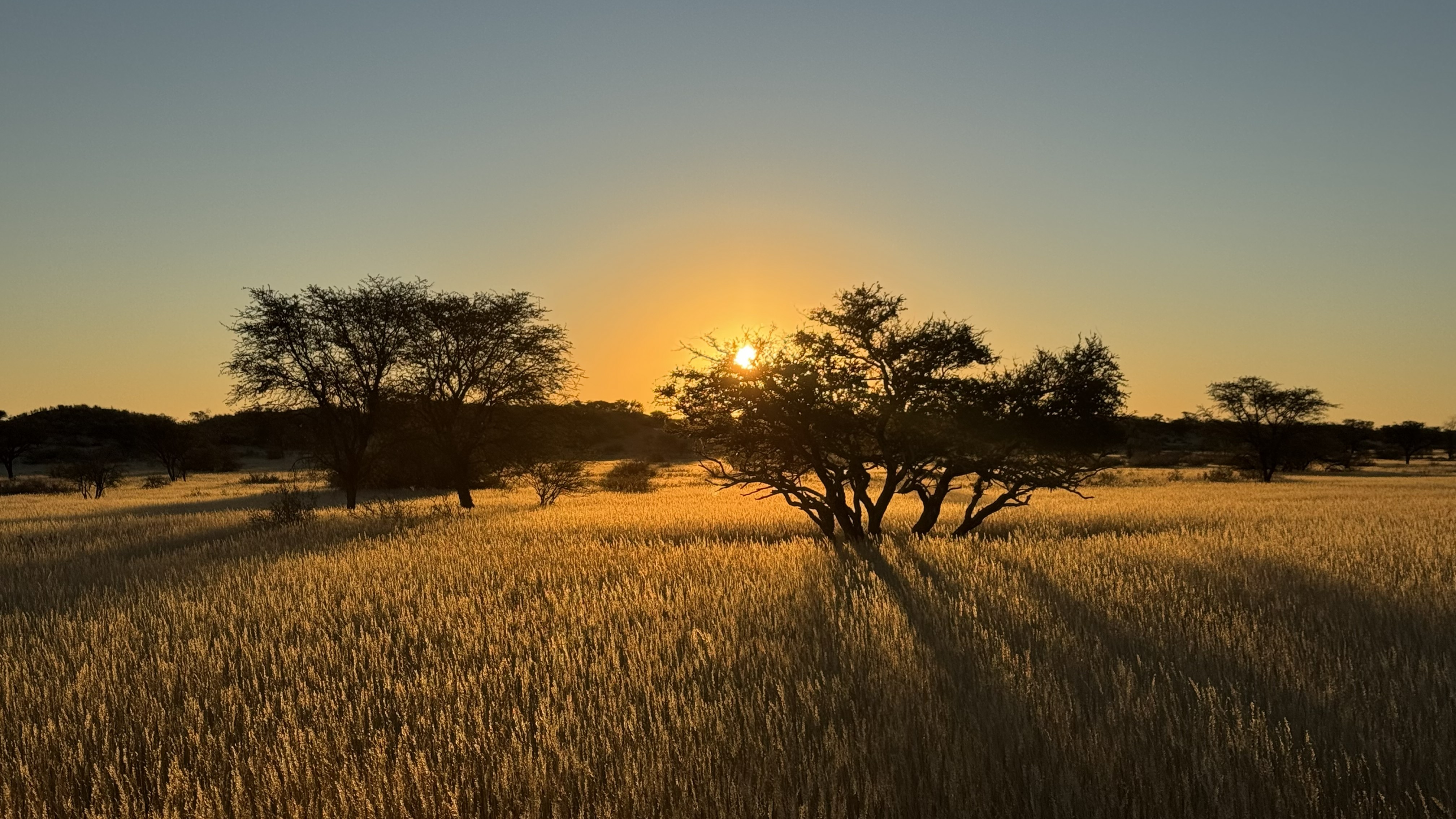 Западный Кейп - Намибия (21/23)