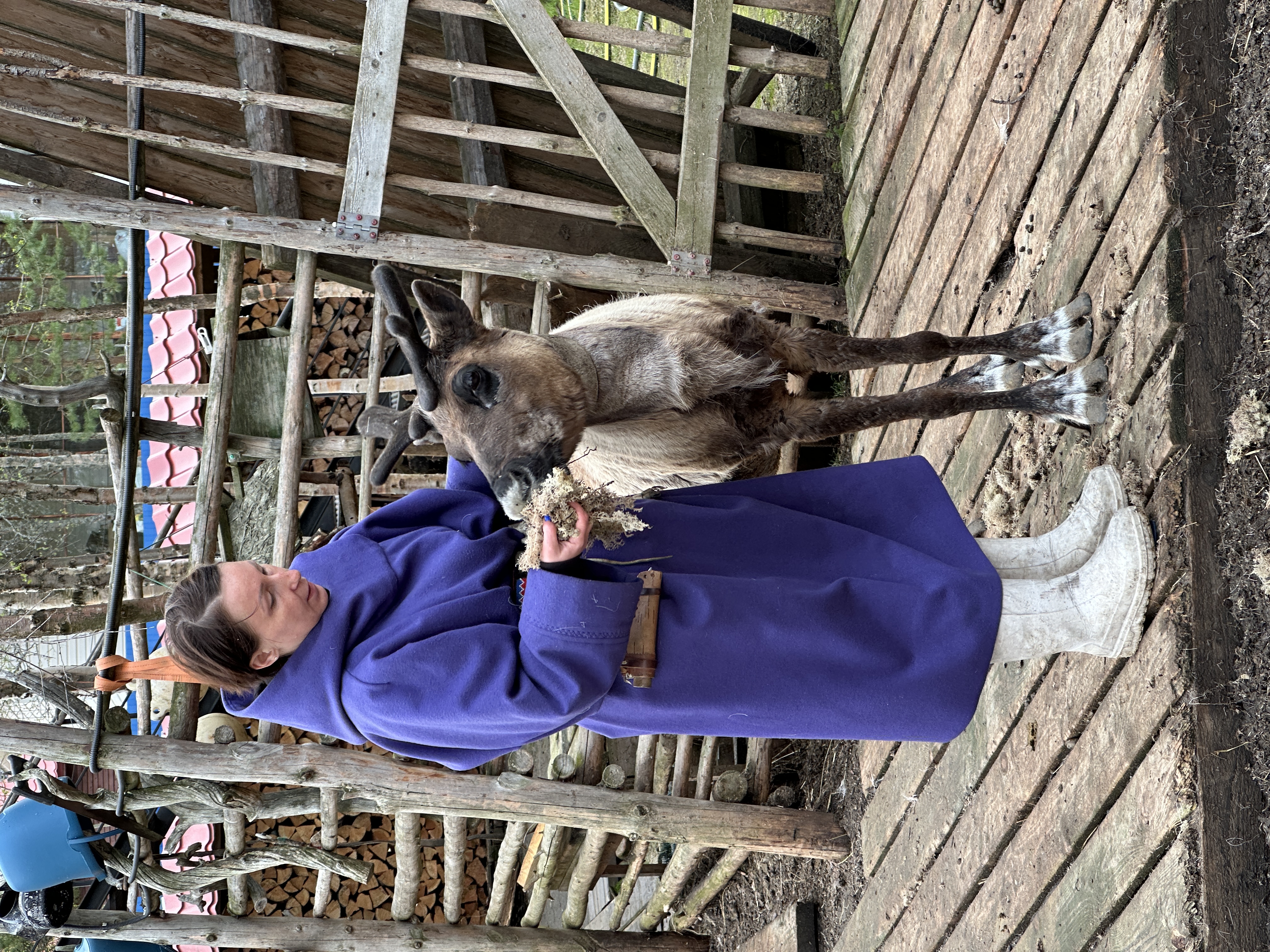 Джиппинг в горы и фотоохота на китов (22/22)