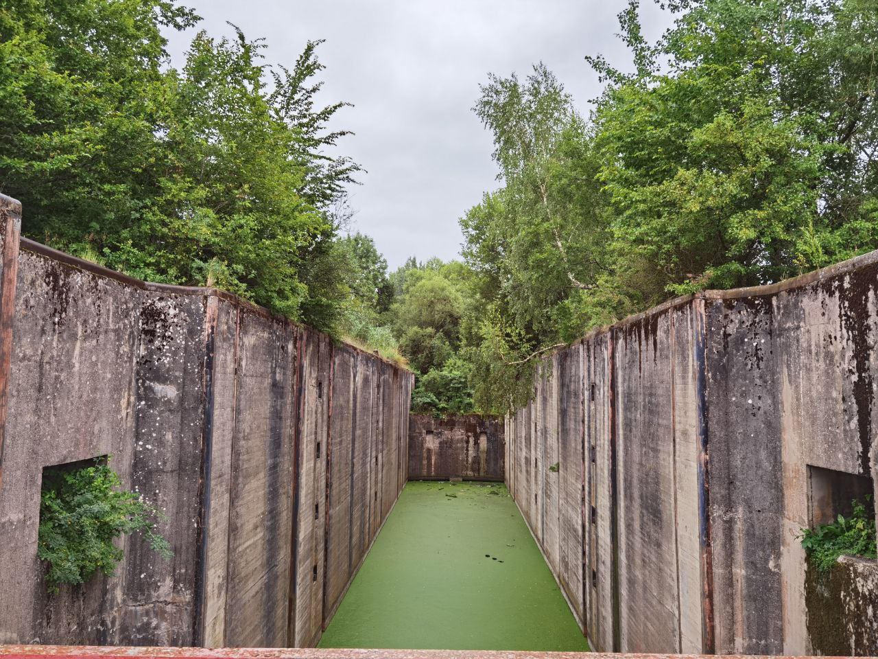 Колесо Обозрения (28/42)