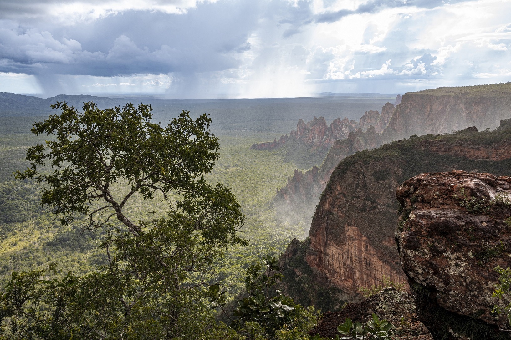 Пантанал. Экспедиция с Алексом Мзунгу от Серрадо до Пантанала (5/19)