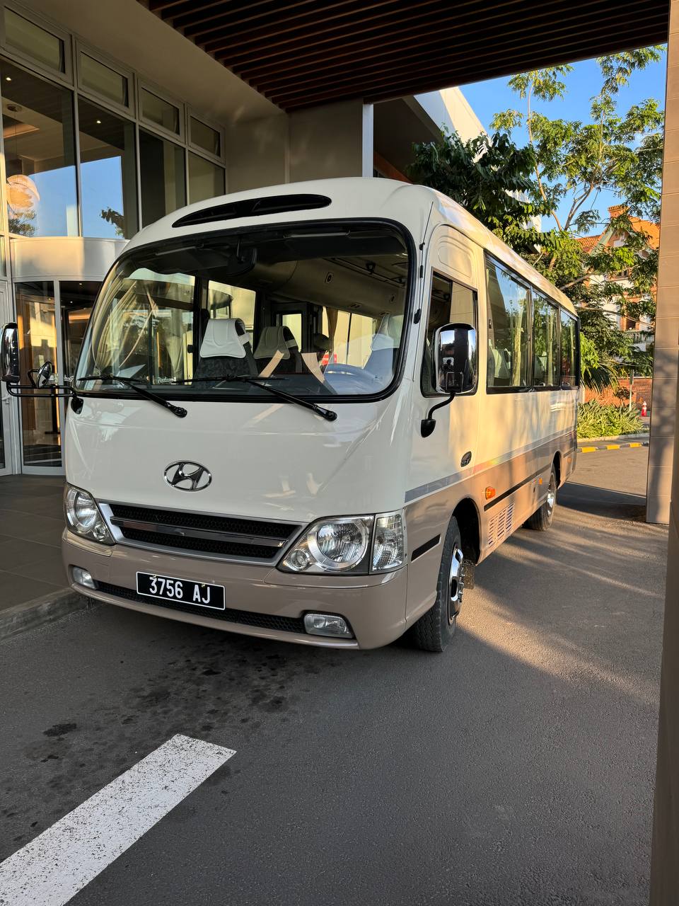 10 дней главные места Мадагаскара Цинги - Баобабы - Андасибе (27/57)