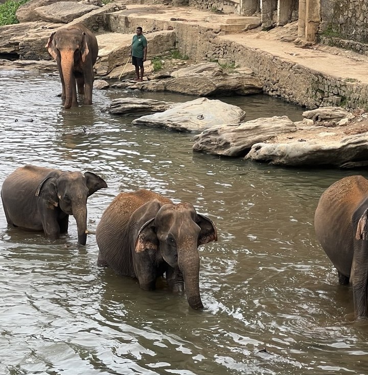 Легенды древних скал и бирюзовый океан за  9 дней (2/15)