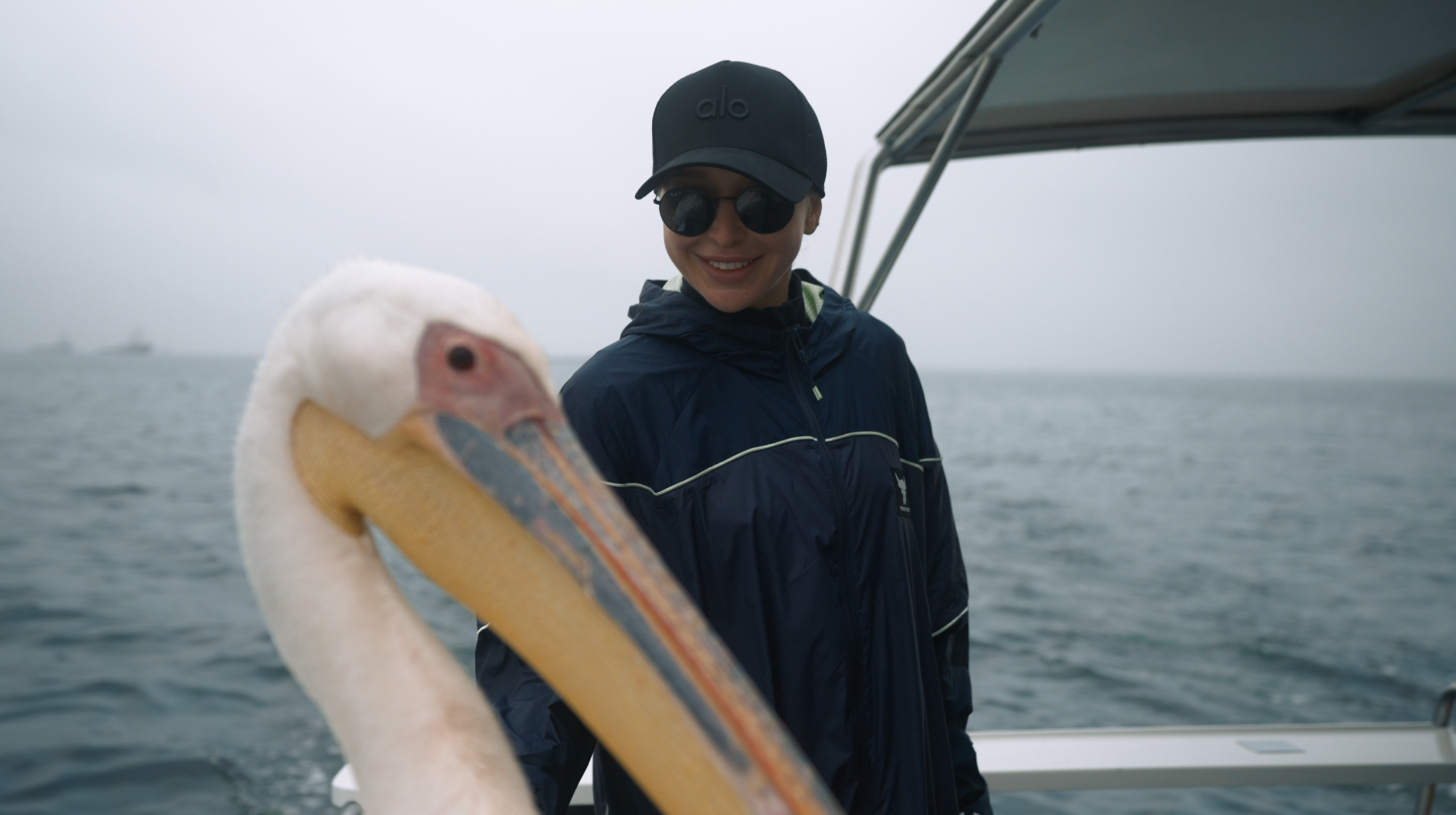 Юар: Кейптаун, киты, пингвины и винодельни (16/21)